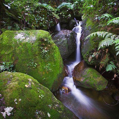 BLUE MOUNTAINS LANDSCAPE PRINTS - TOM PUTT