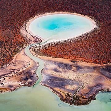 SHARK BAY PRINTS - TOM PUTT