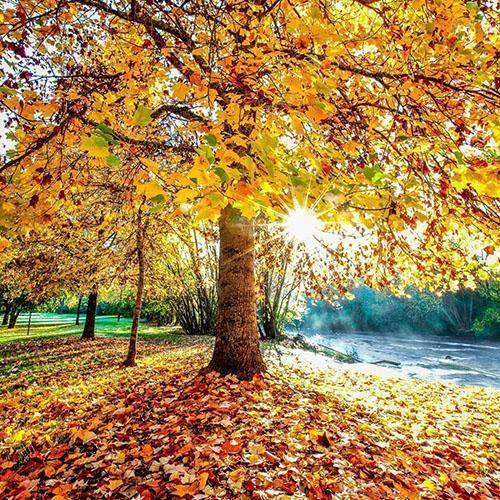 BEST SELLING LANDSCAPE PHOTOGRAPHY PRINTS - TOM PUTT