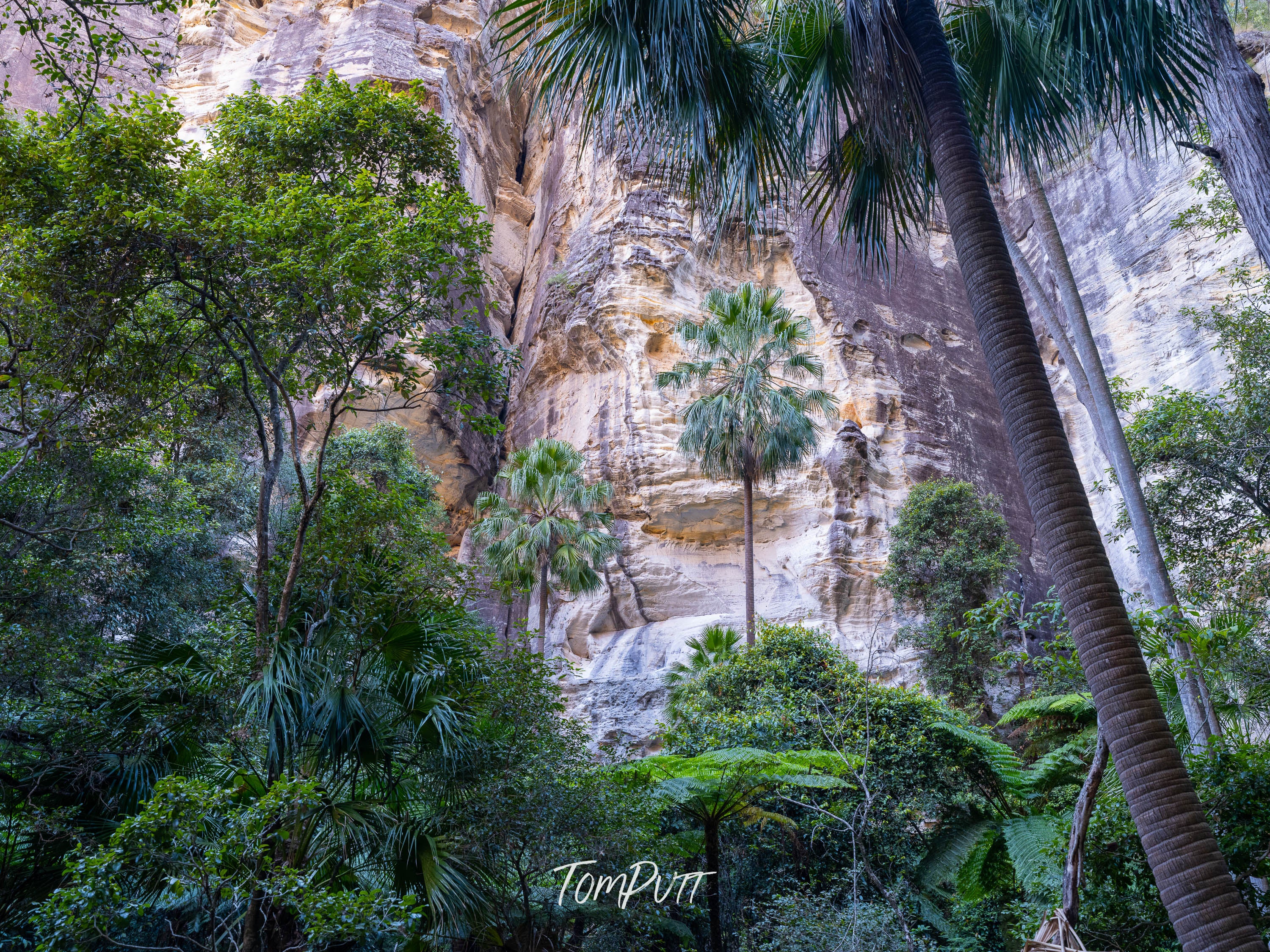 Amphitheatre, Carnarvon Gorge