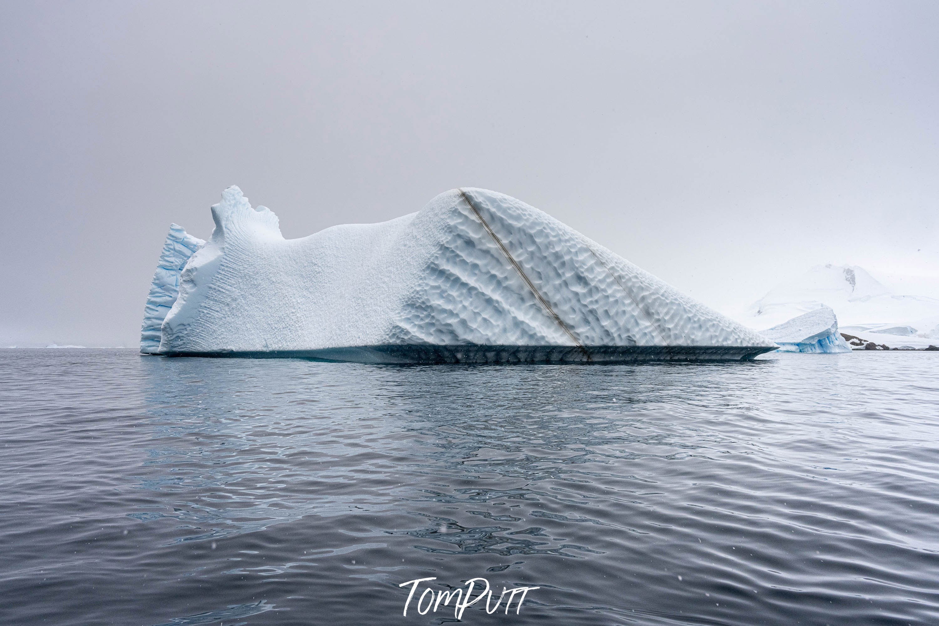 Sweet Wrapper, Antarctica