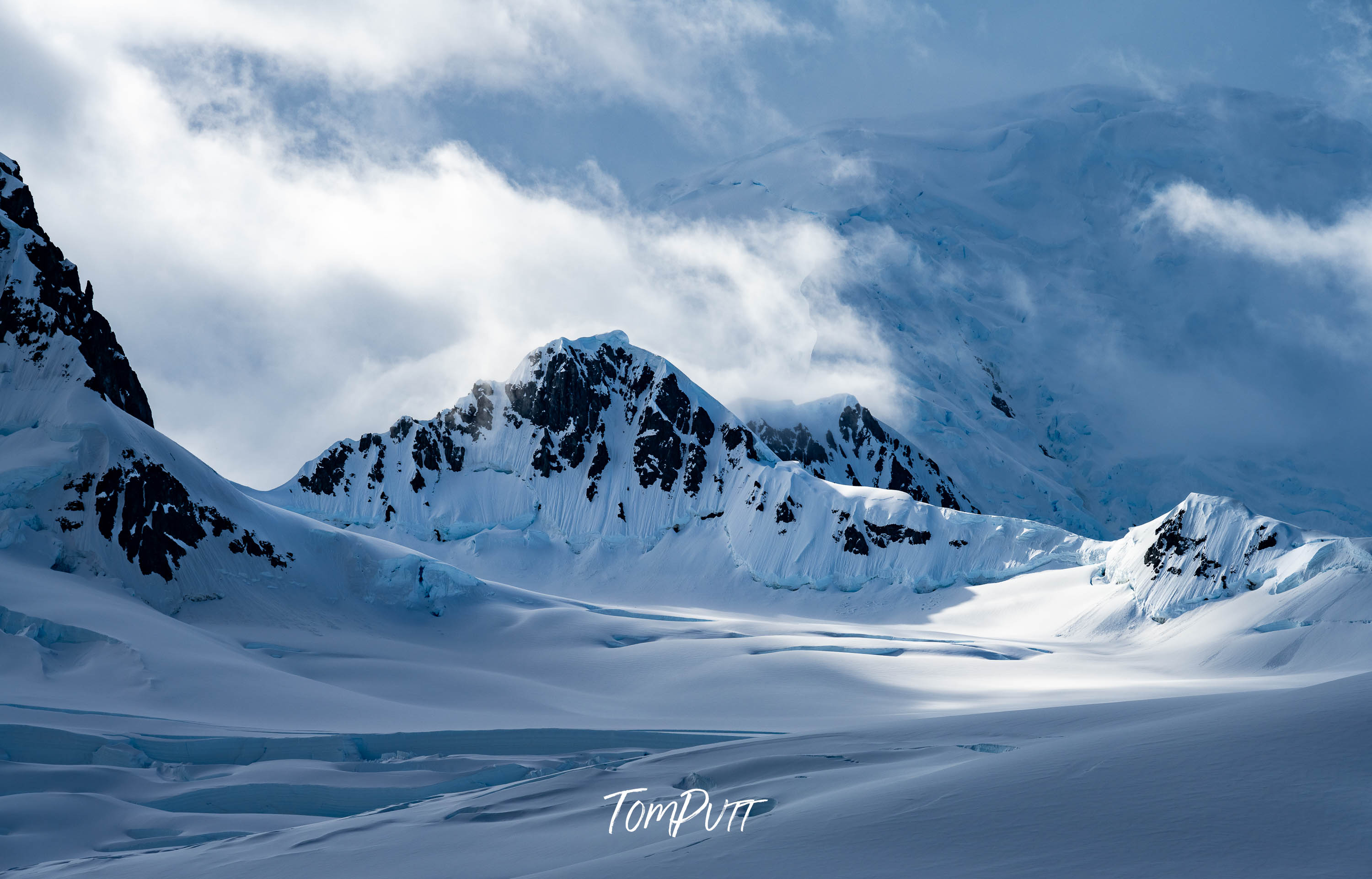 Clouded Majesty, Antarctica
