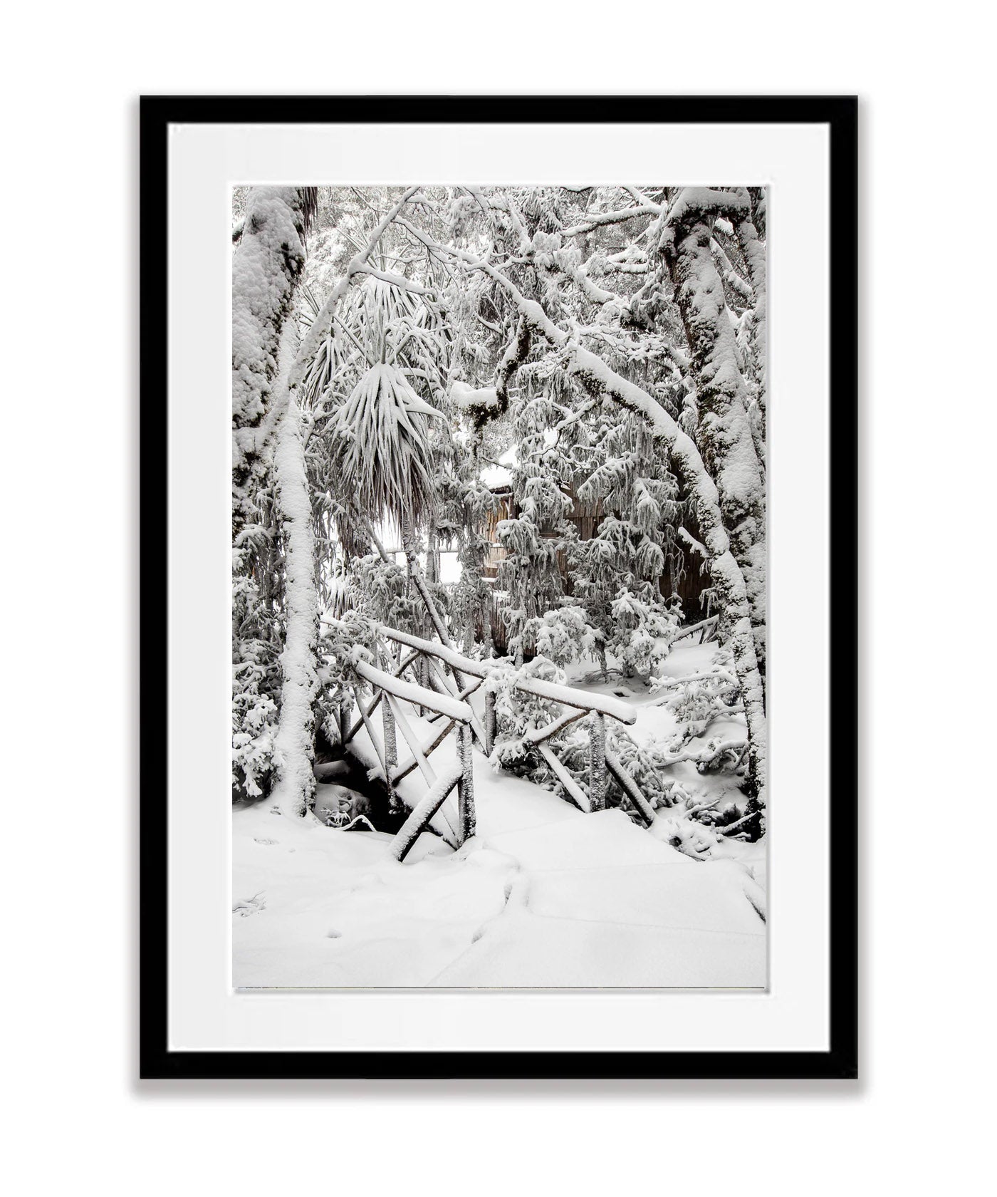 Snow-Covered Bridge, Cradle Mountain, Tasmania