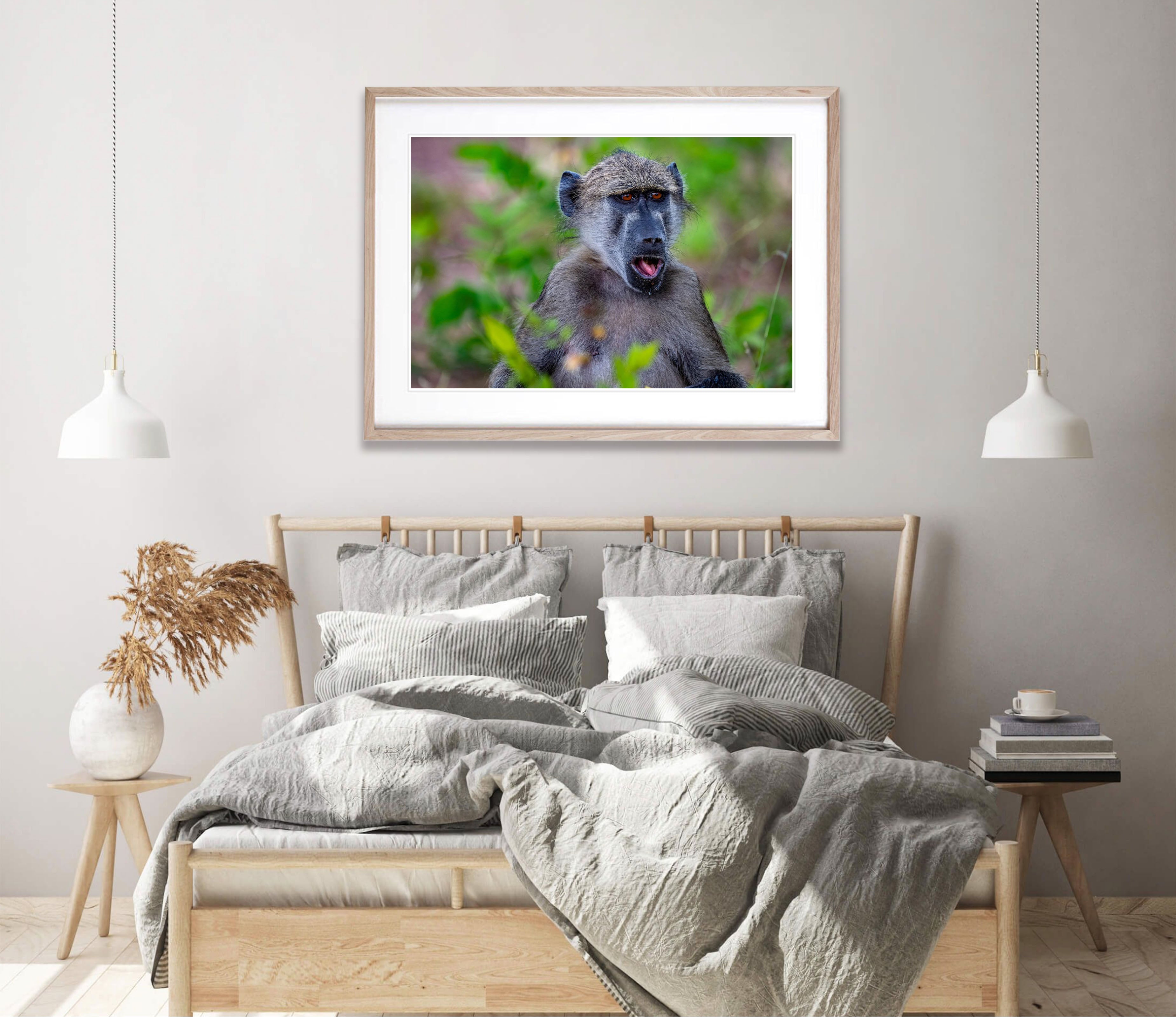 Baboon portrait, Chobe River, Botswana