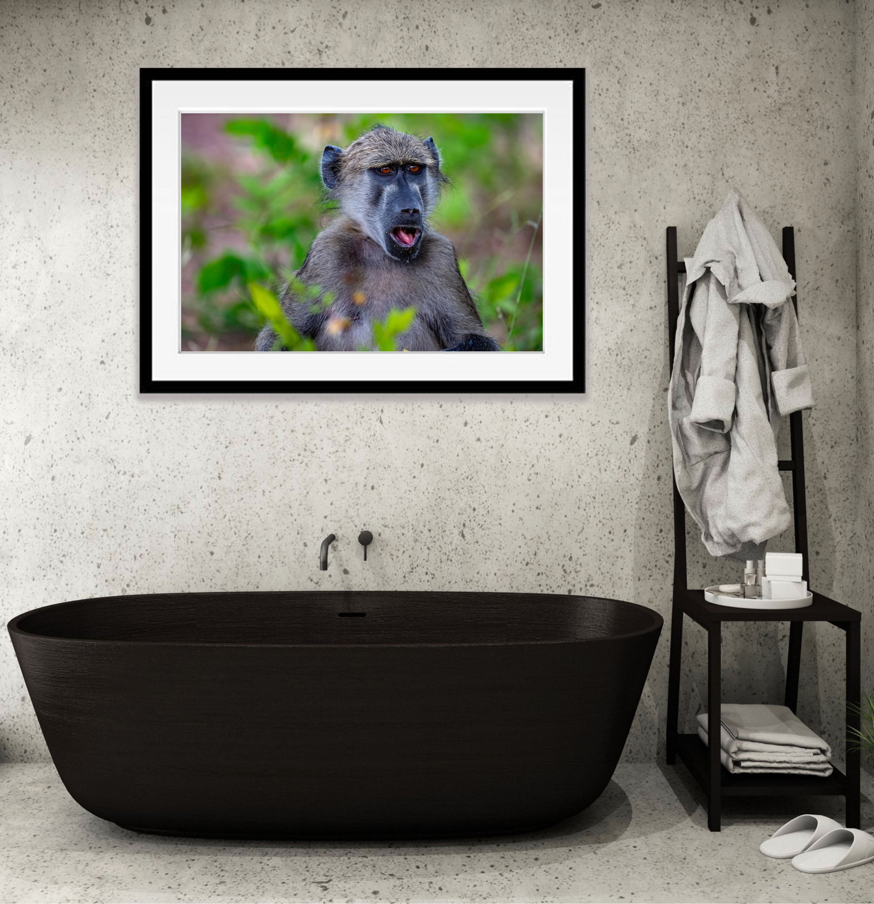 Baboon portrait, Chobe River, Botswana