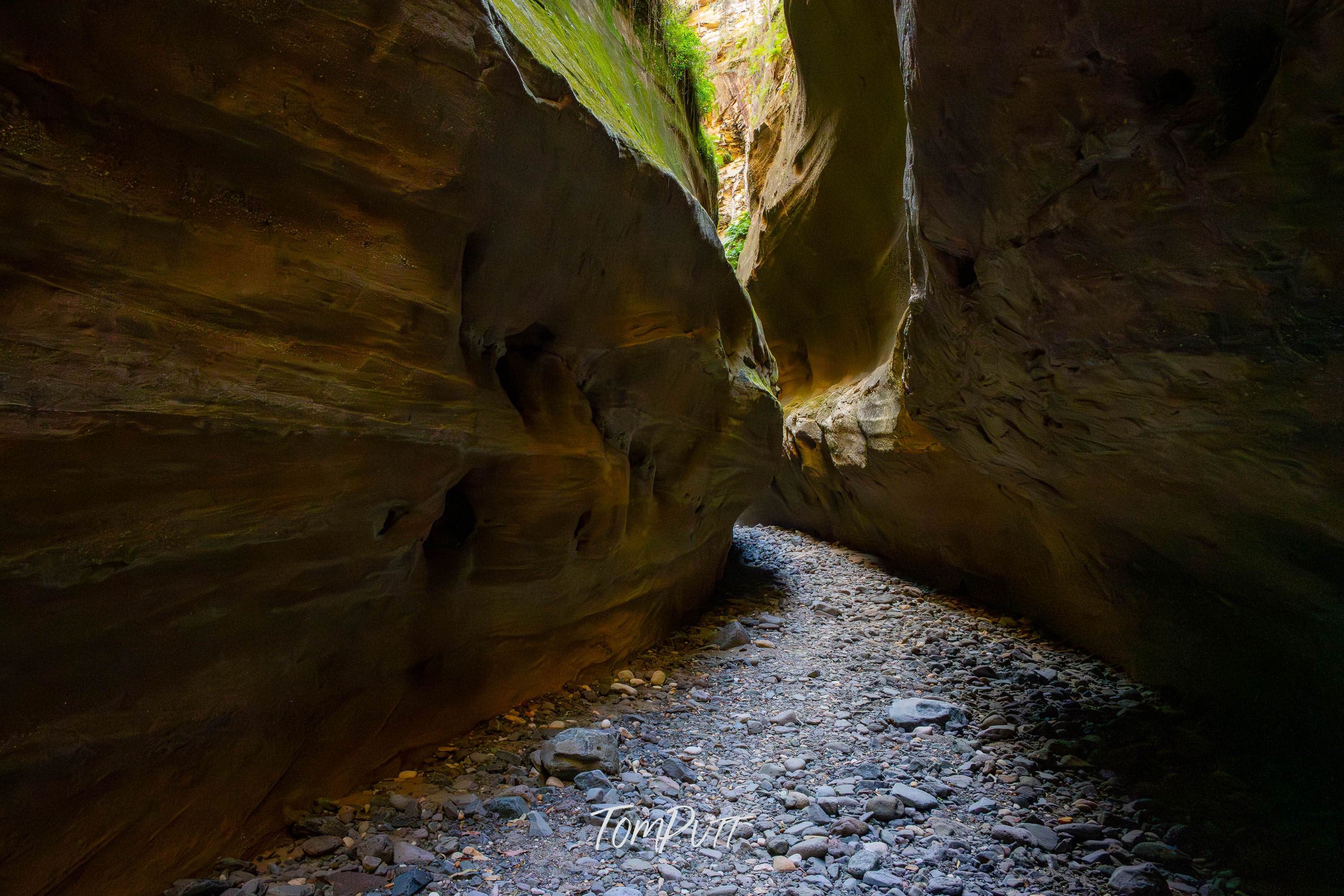 Boowinda Gorge, Carnarvon Gorge