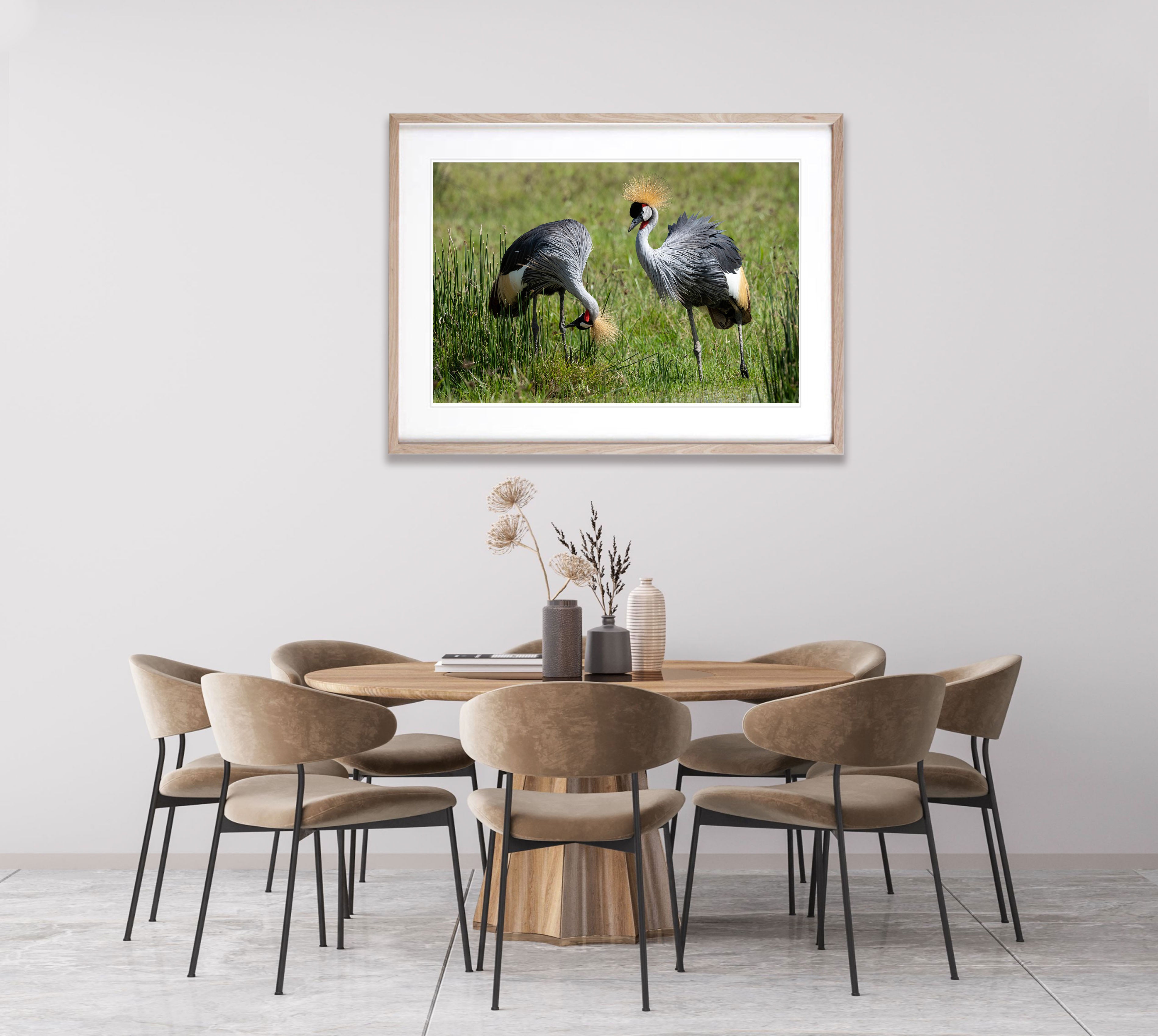 Crowned Crane, Tanzania