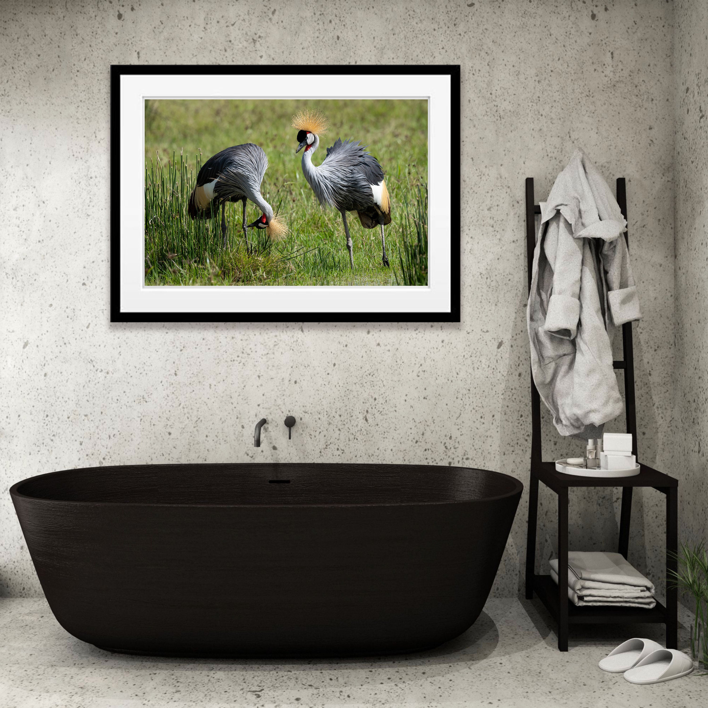 Crowned Crane, Tanzania