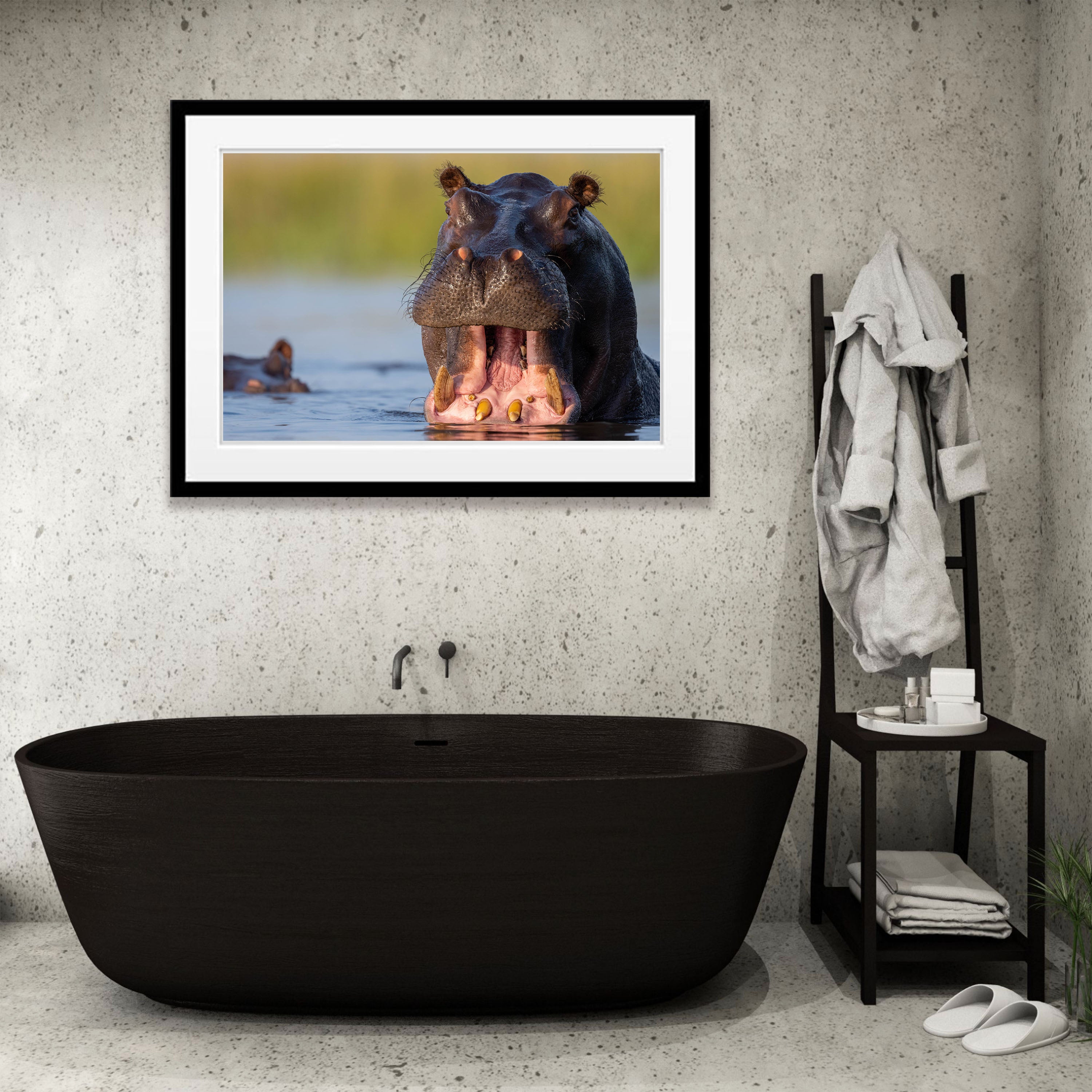 Hippo, Chobe River, Botswana