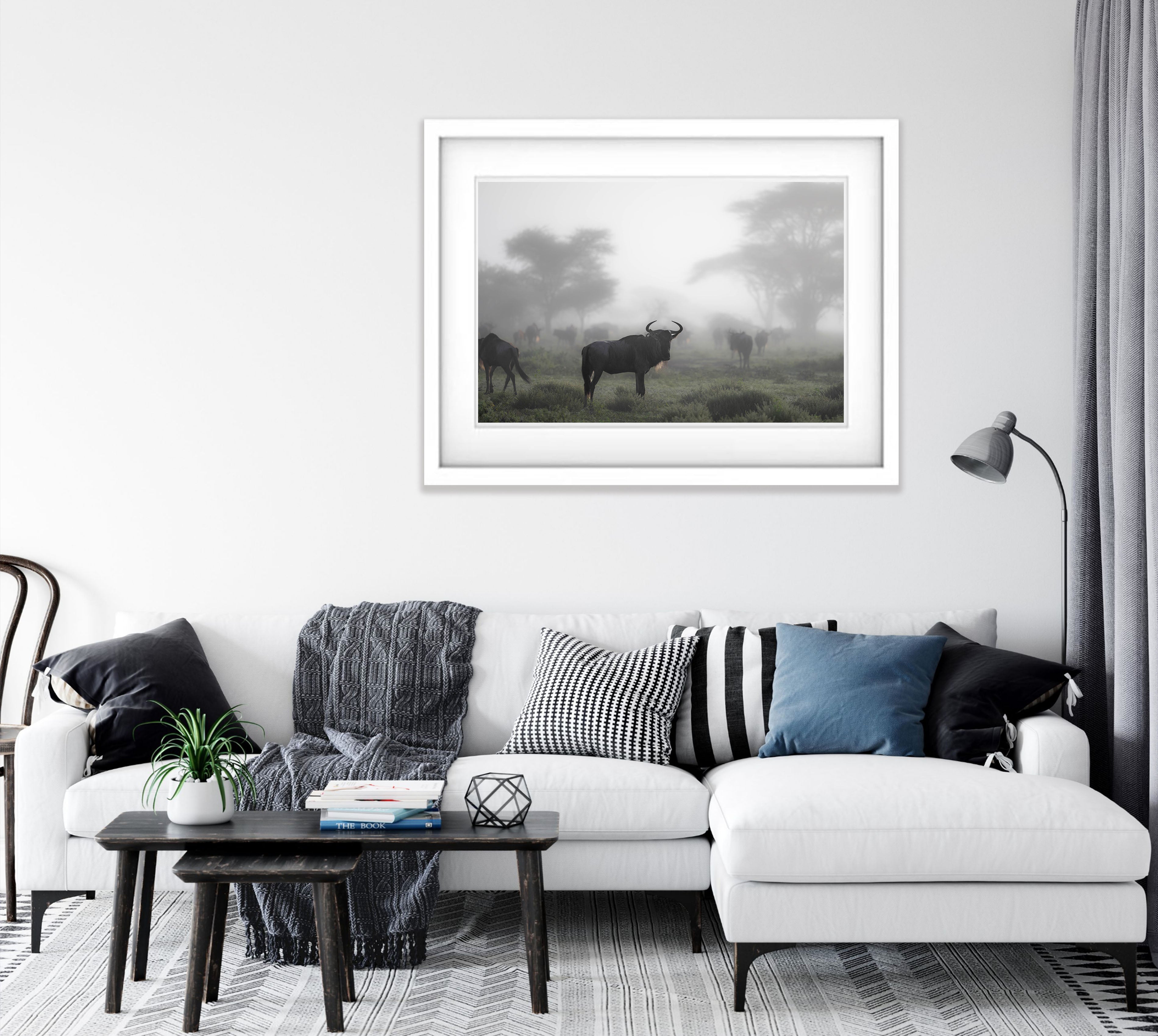 Wildebeest in the mist, Tanzania