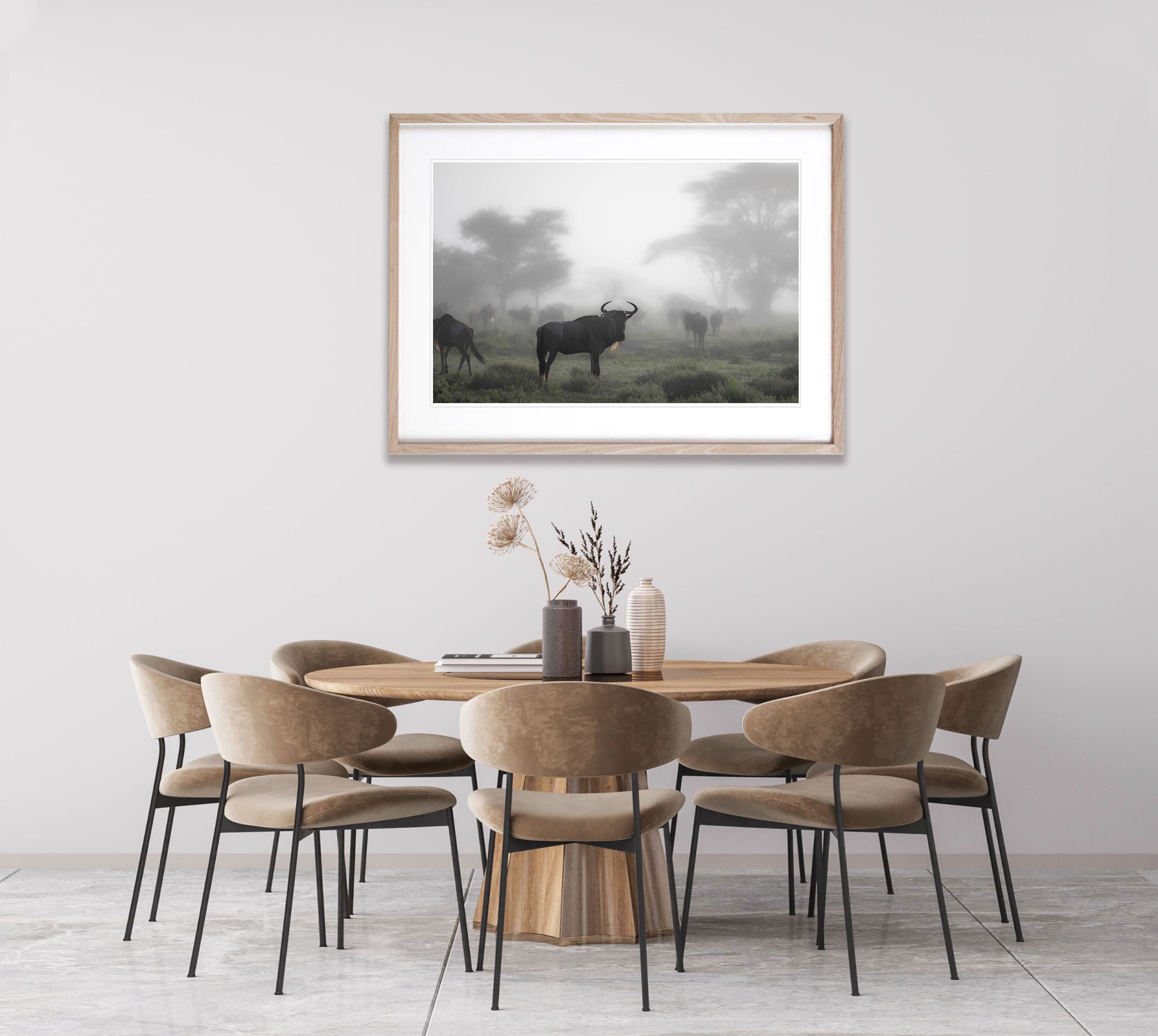 Wildebeest in the mist, Tanzania