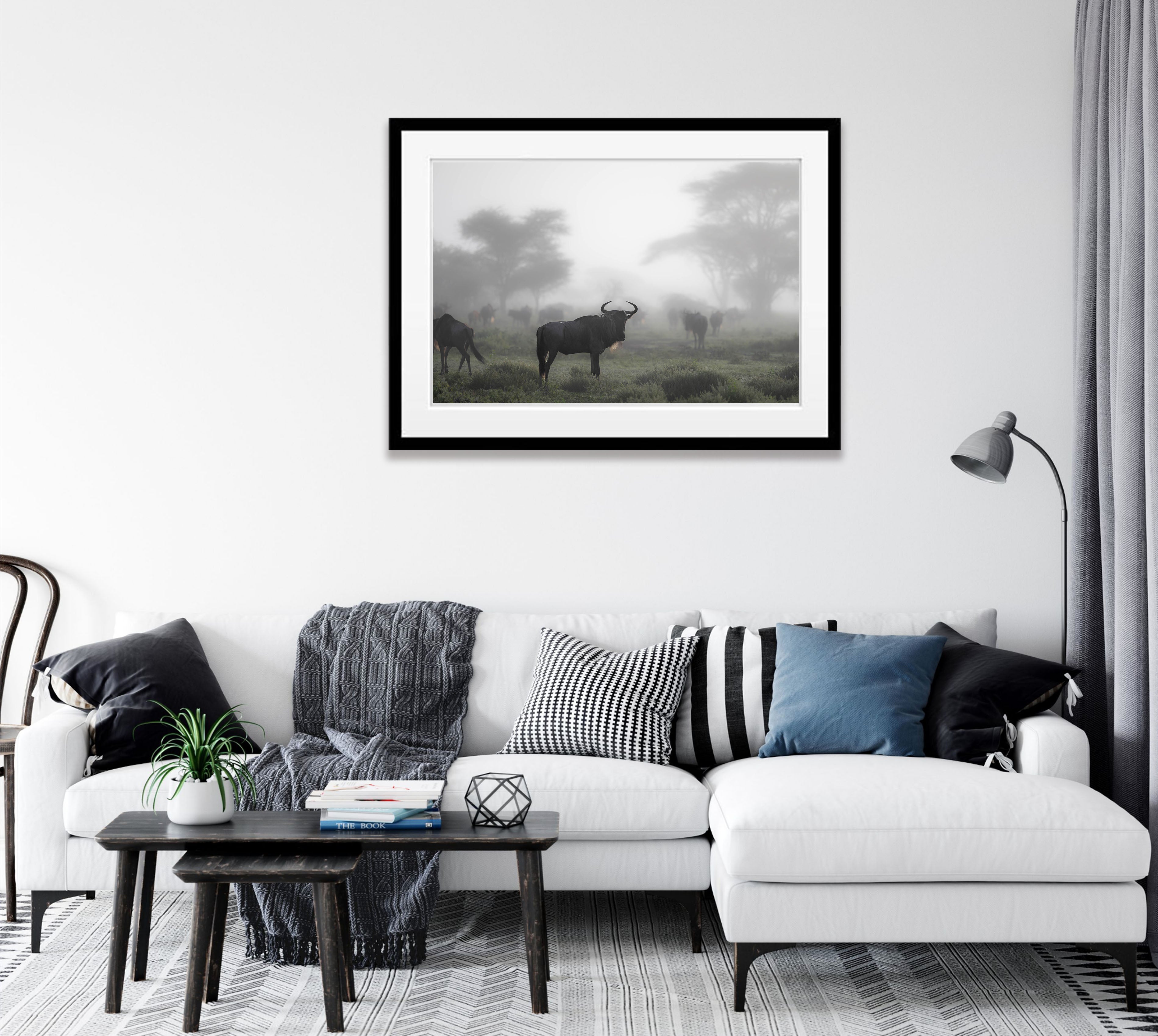 Wildebeest in the mist, Tanzania