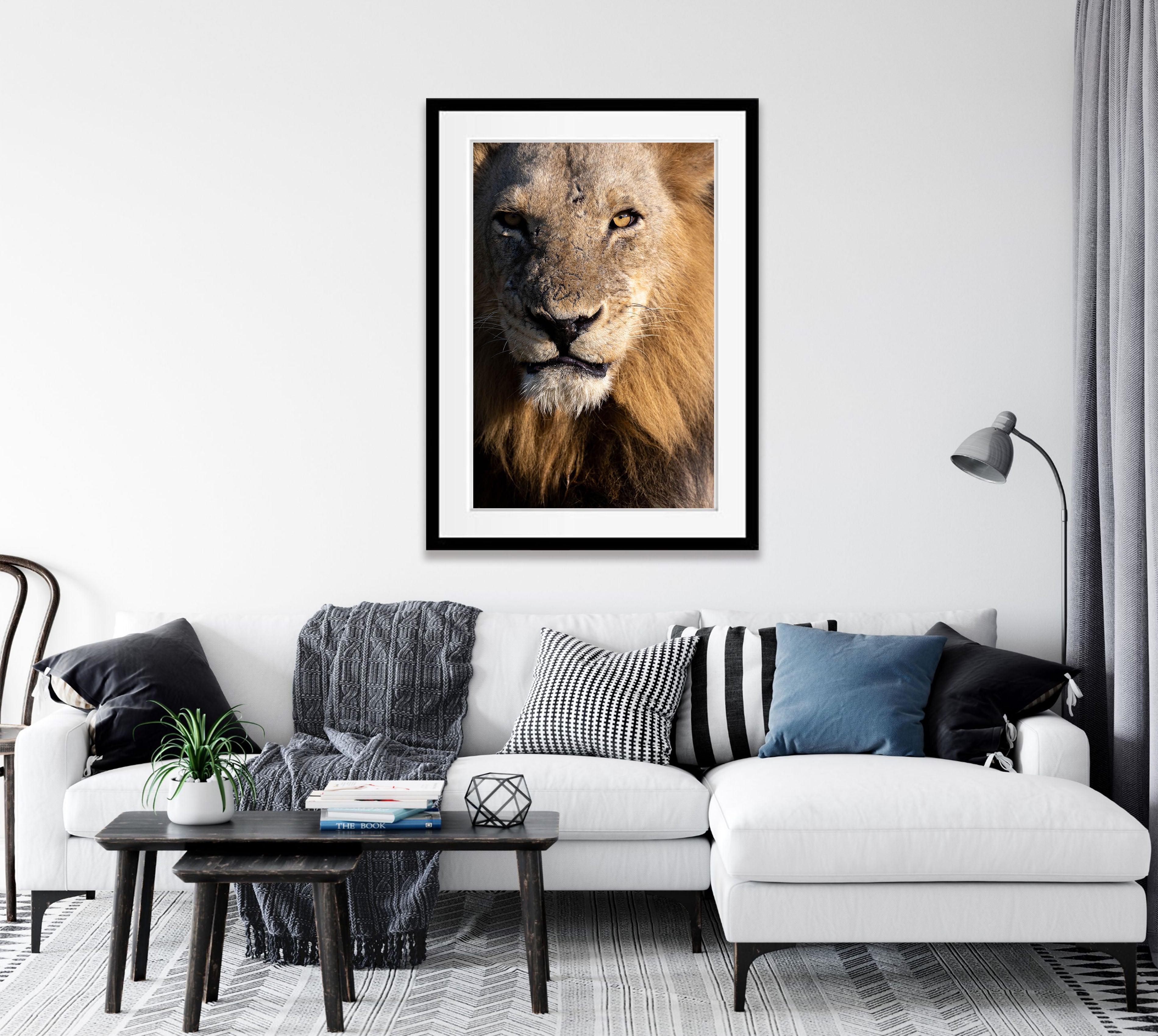 The Lion