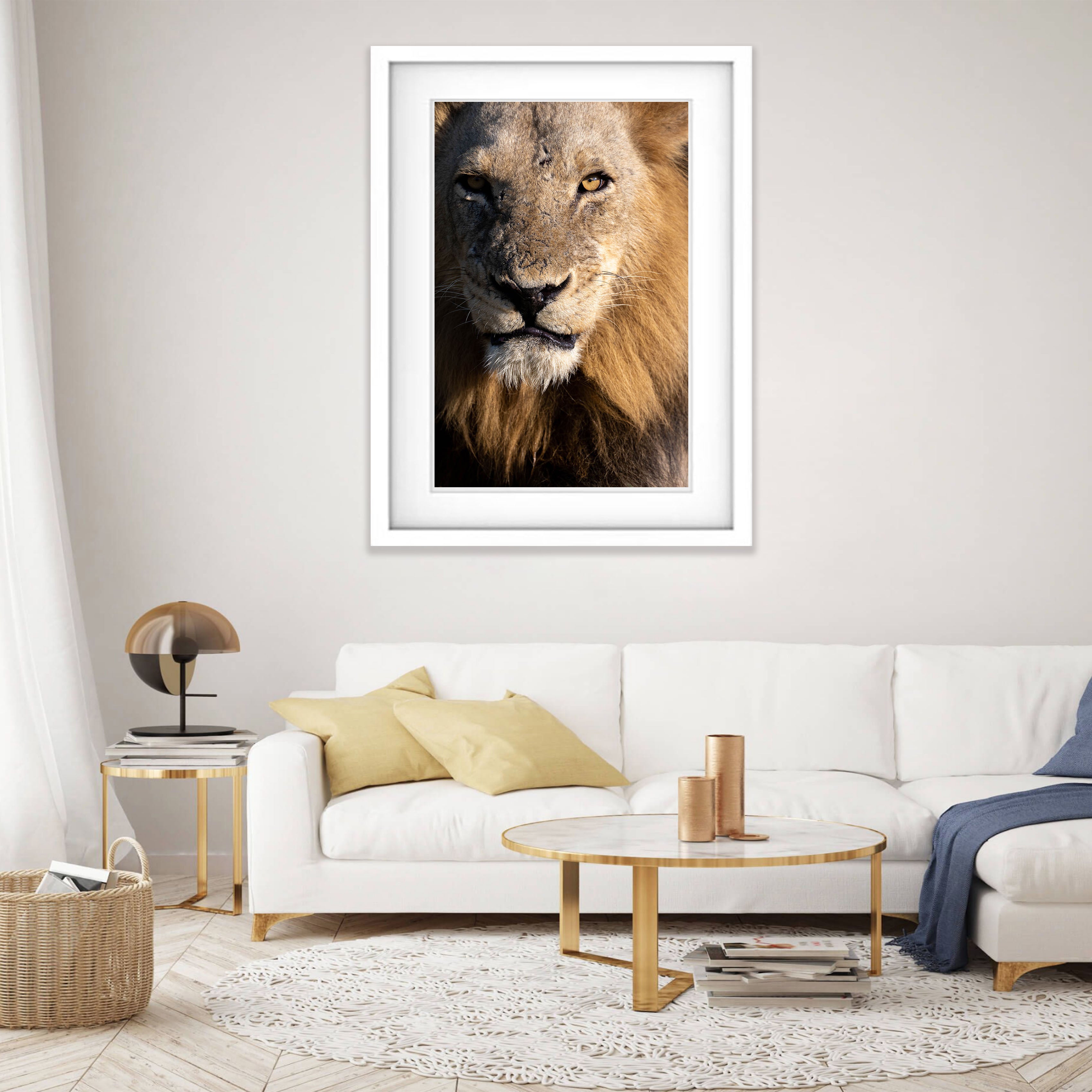 The Lion