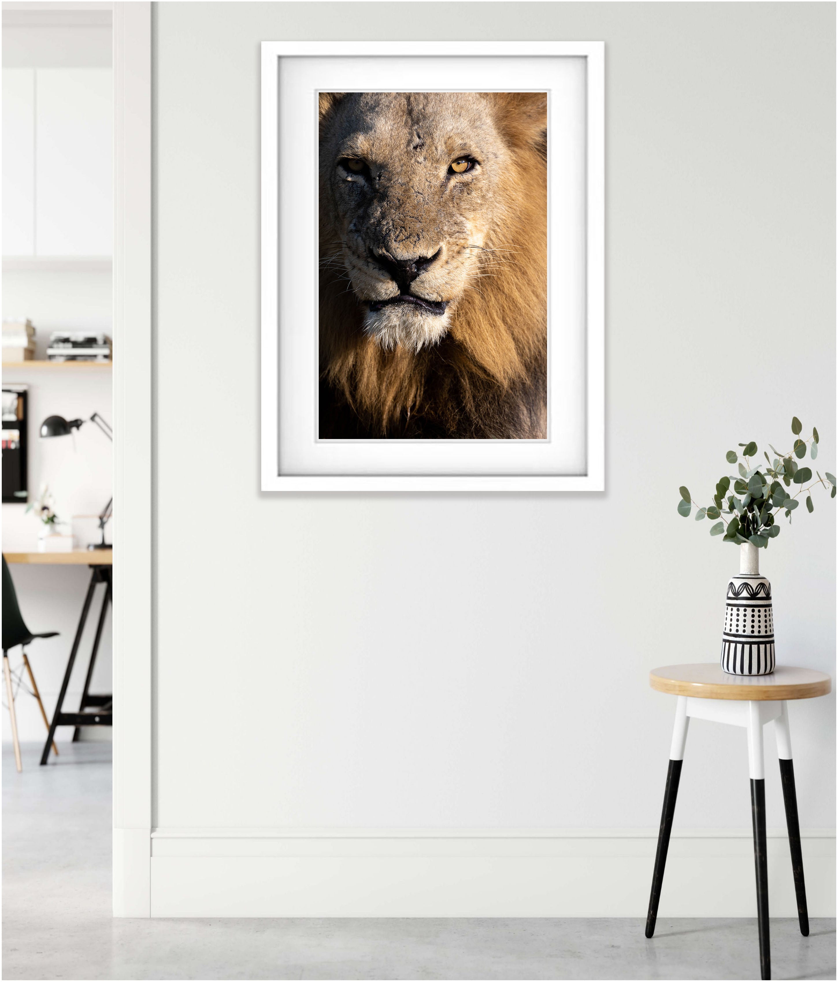 The Lion