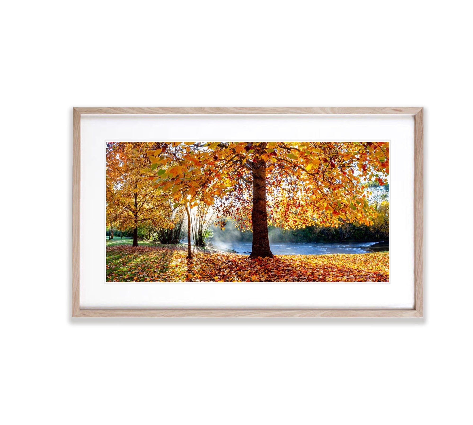 Bright Autumn Colours Pano