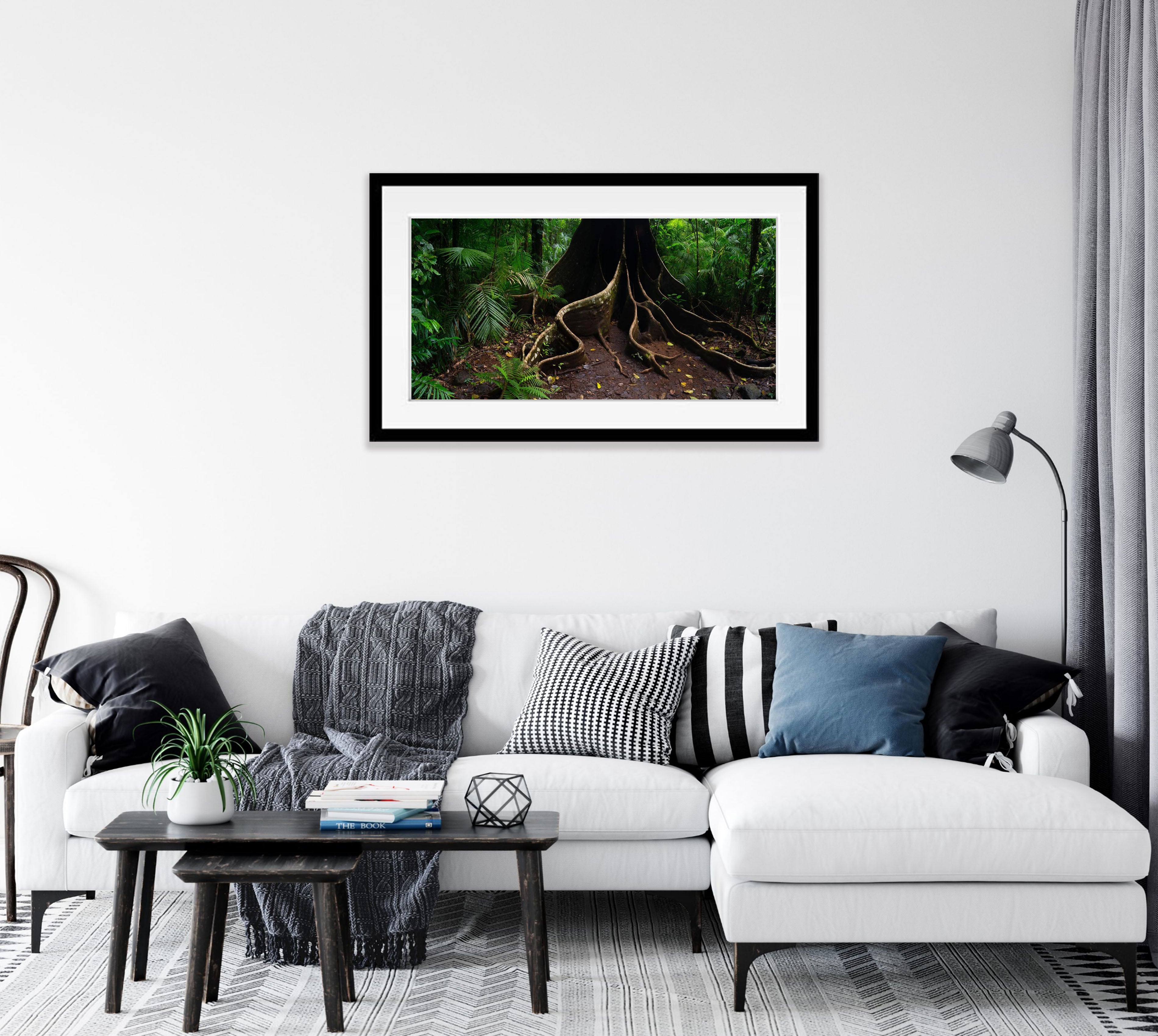 Buttress Tree Root, Far North Queensland