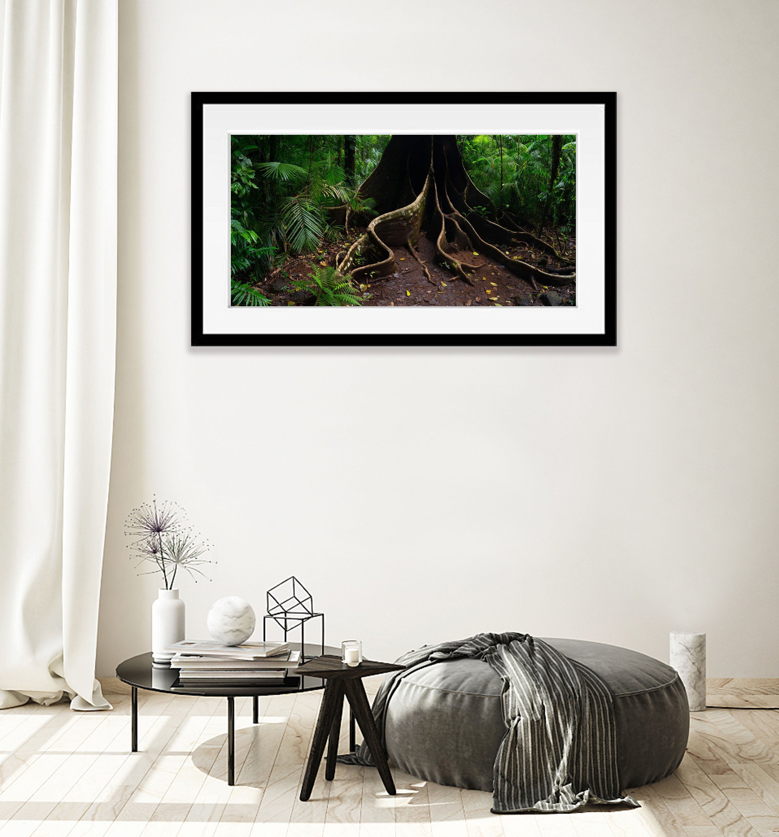 Buttress Tree Root, Far North Queensland