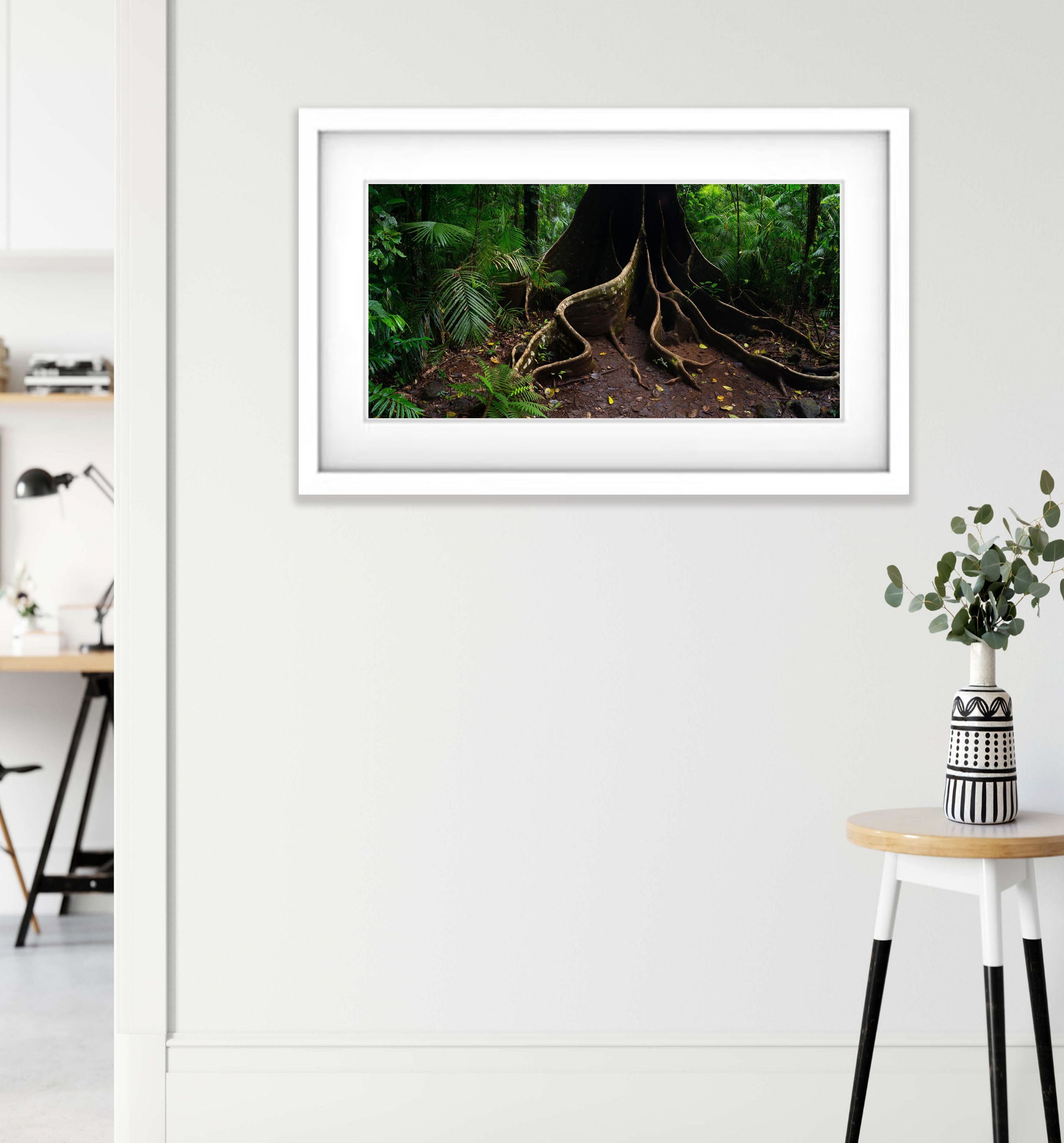 Buttress Tree Root, Far North Queensland