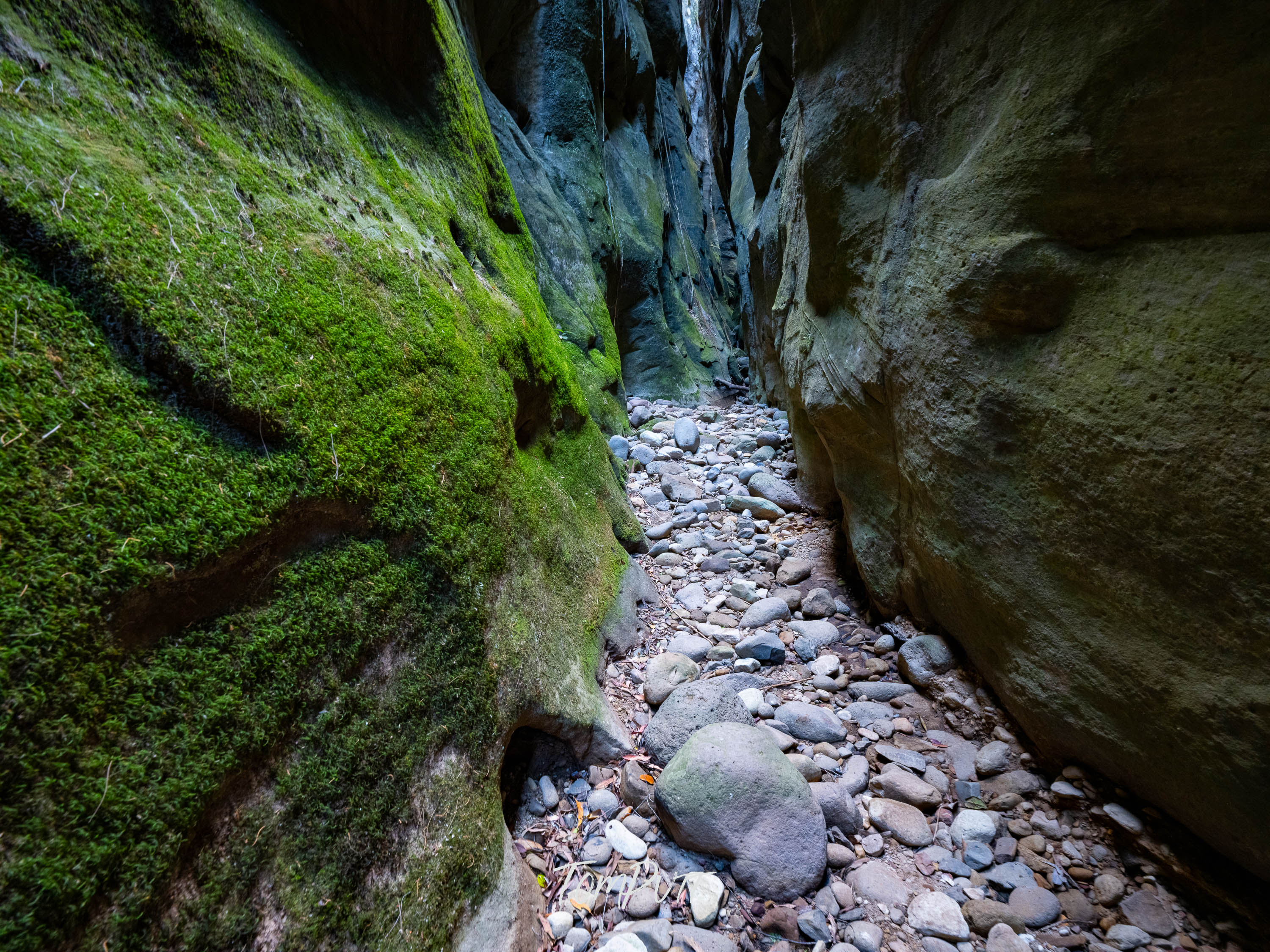Carnarvon Gorge Passage