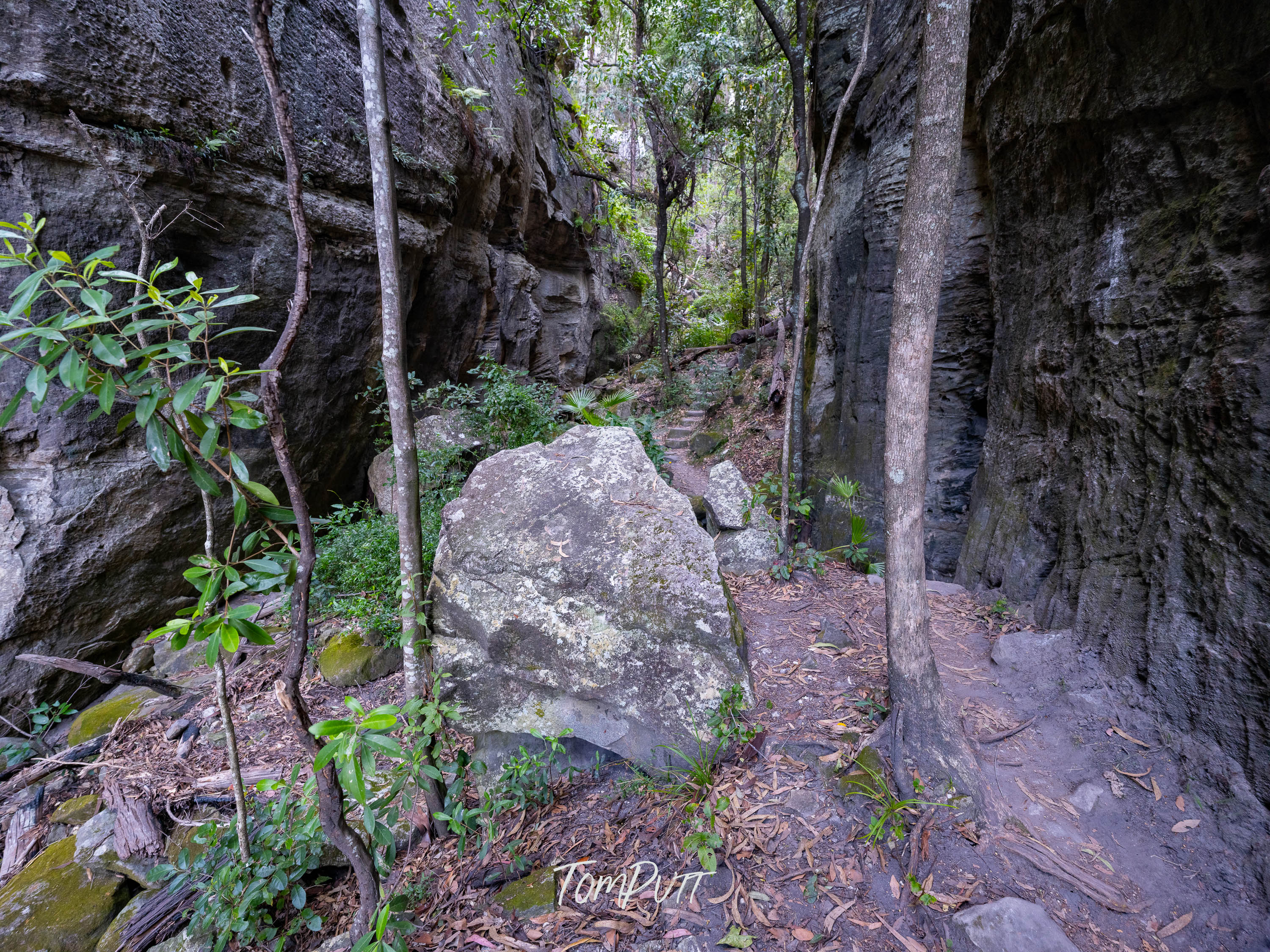Carnarvon Gorge Path