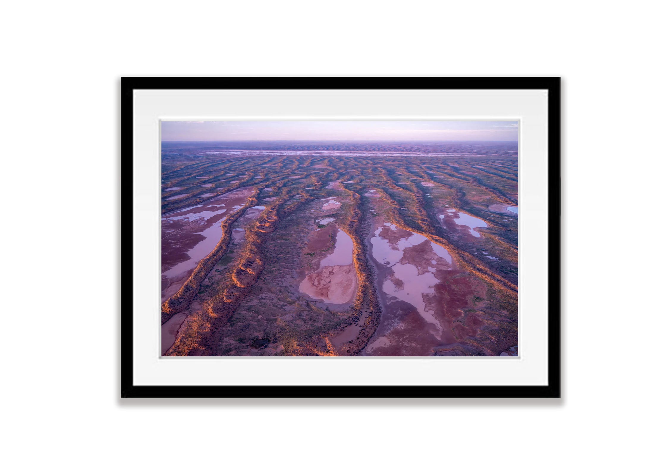 Central Australian Desert after rain