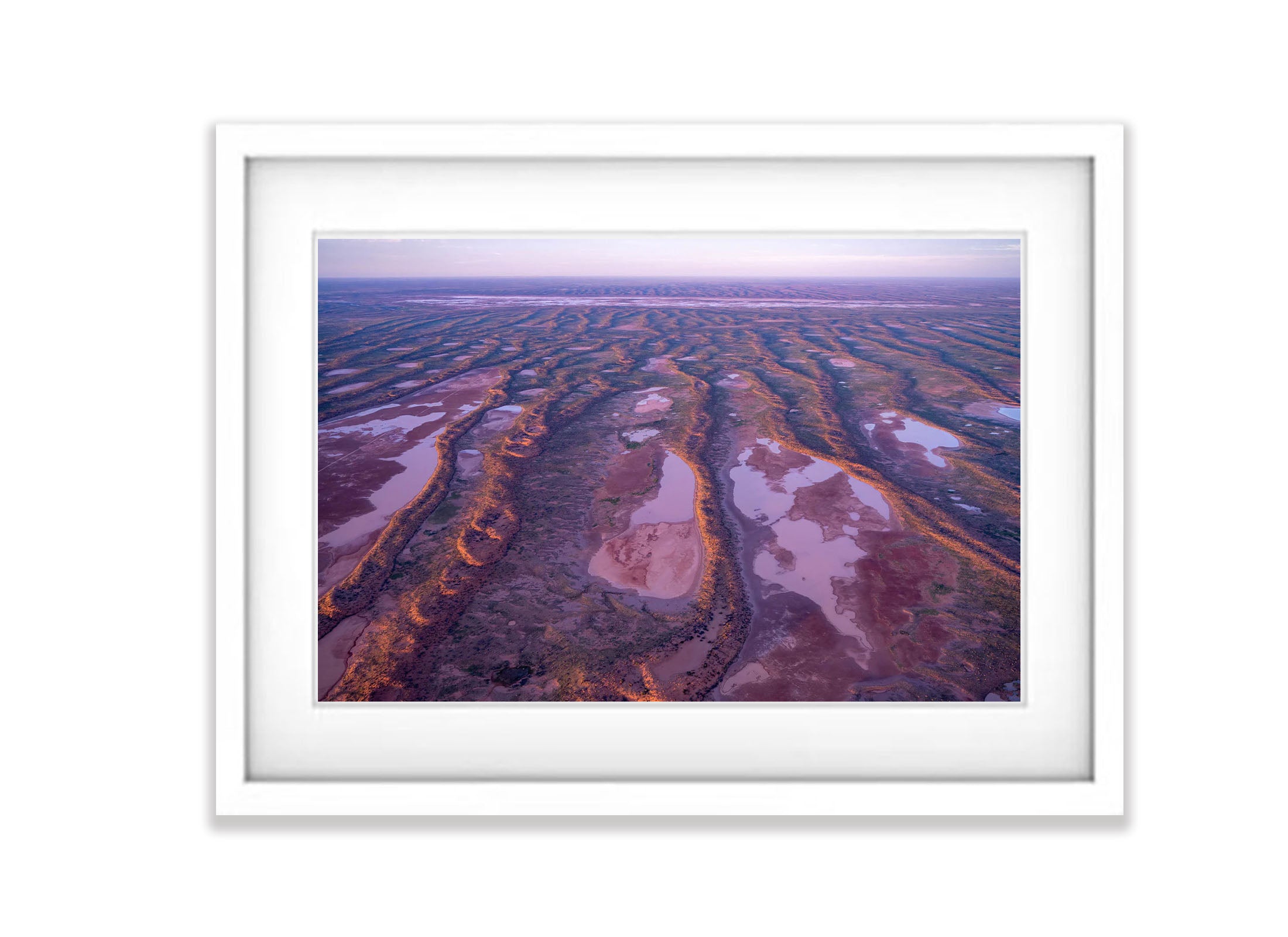 Central Australian Desert after rain