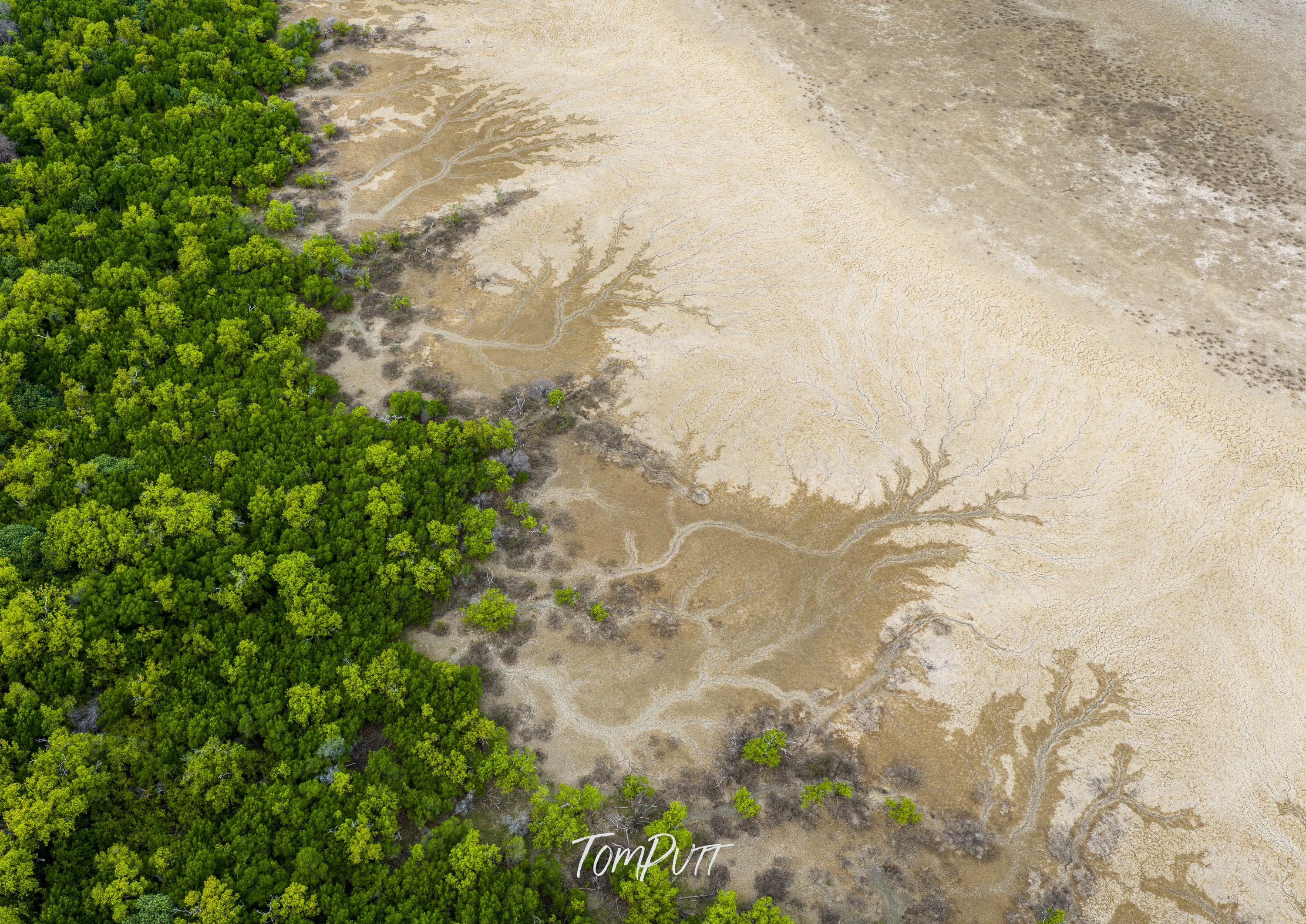 Advancing Green. Gulf Country