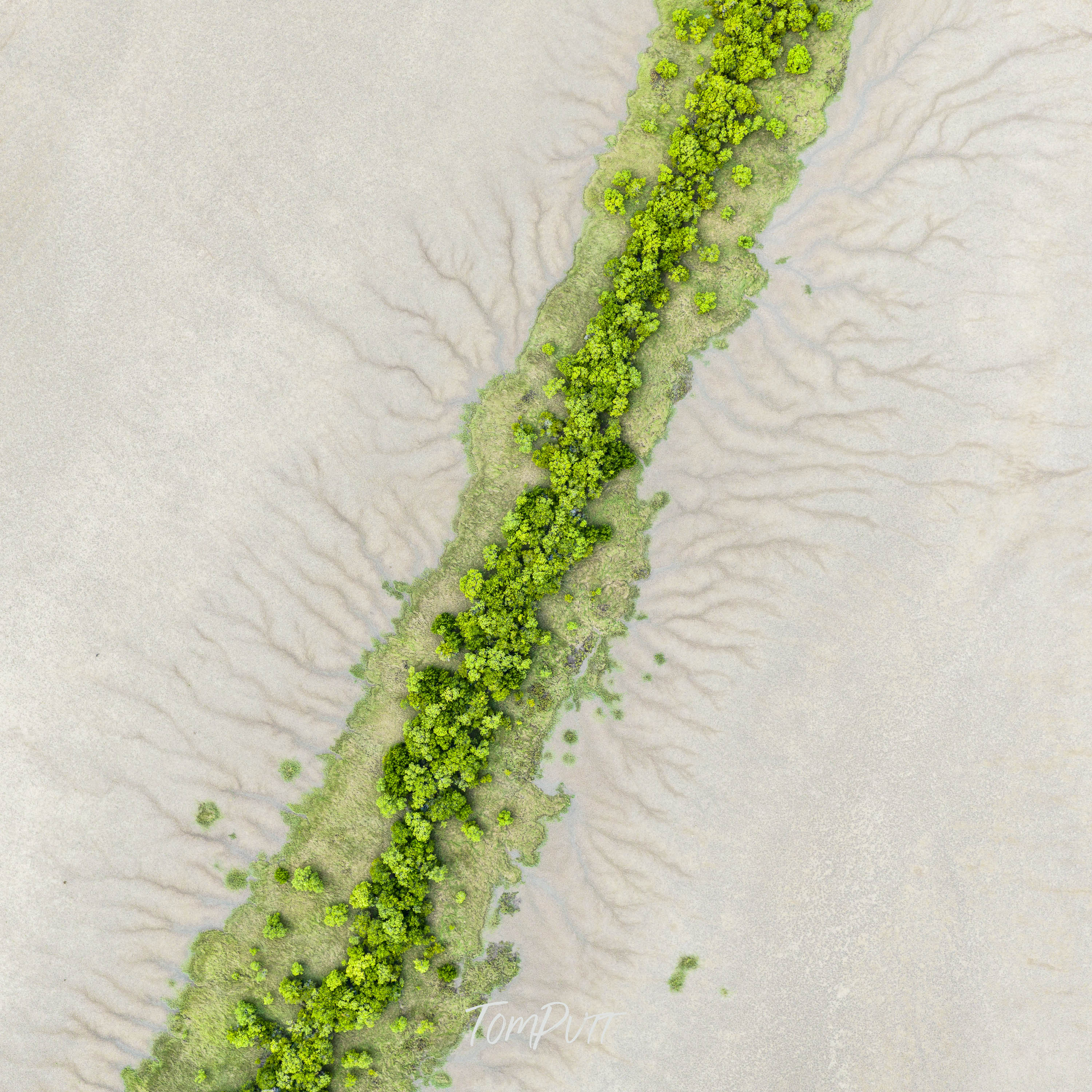 Green Shard, Gulf Country