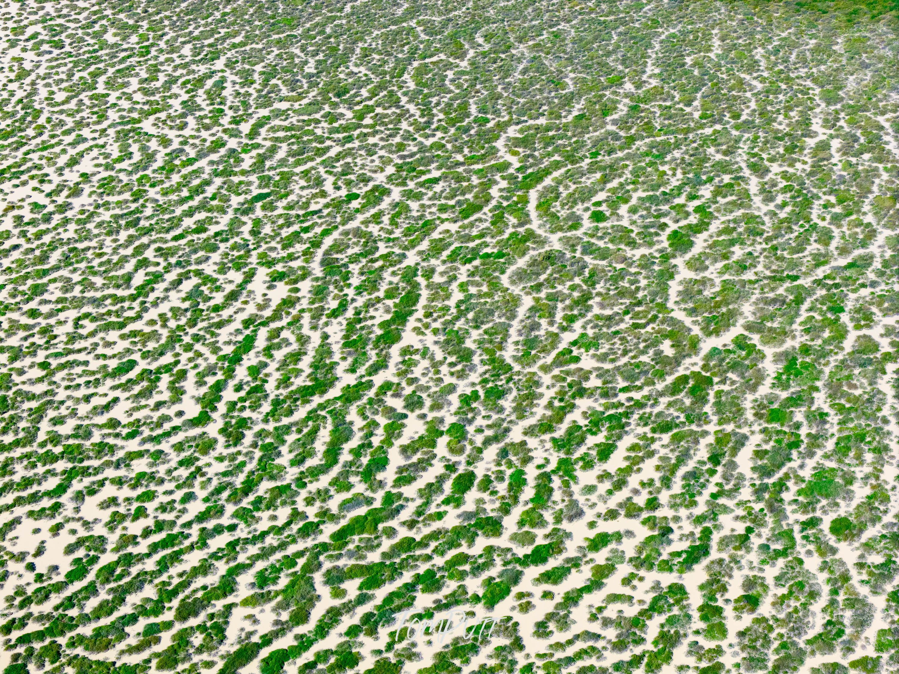 Channel Country Mosaic