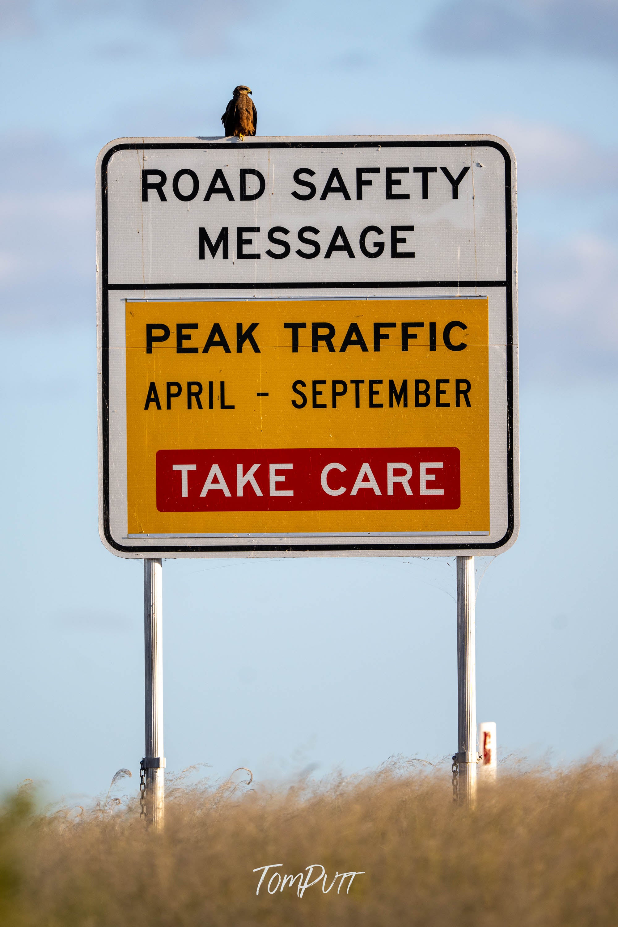 Safety First, Black Kite
