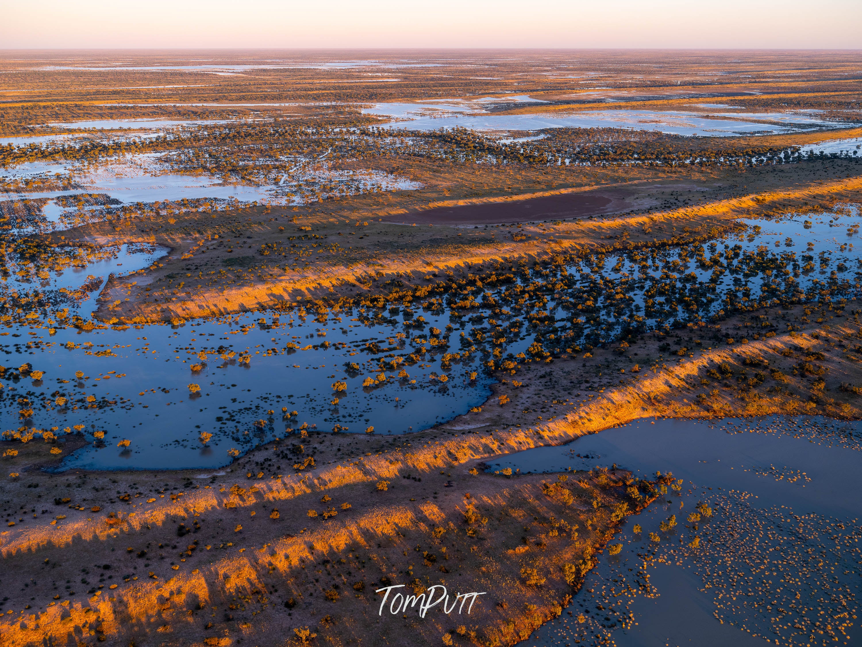After the Rainfall. Simpson Desert