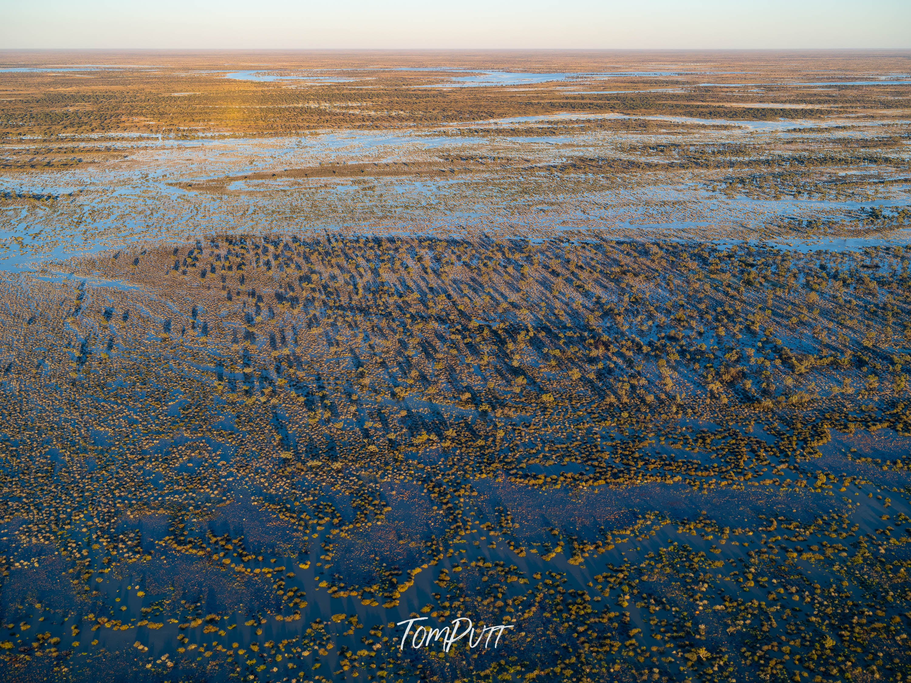 Desert Tides at Dawn. Simpson Desert