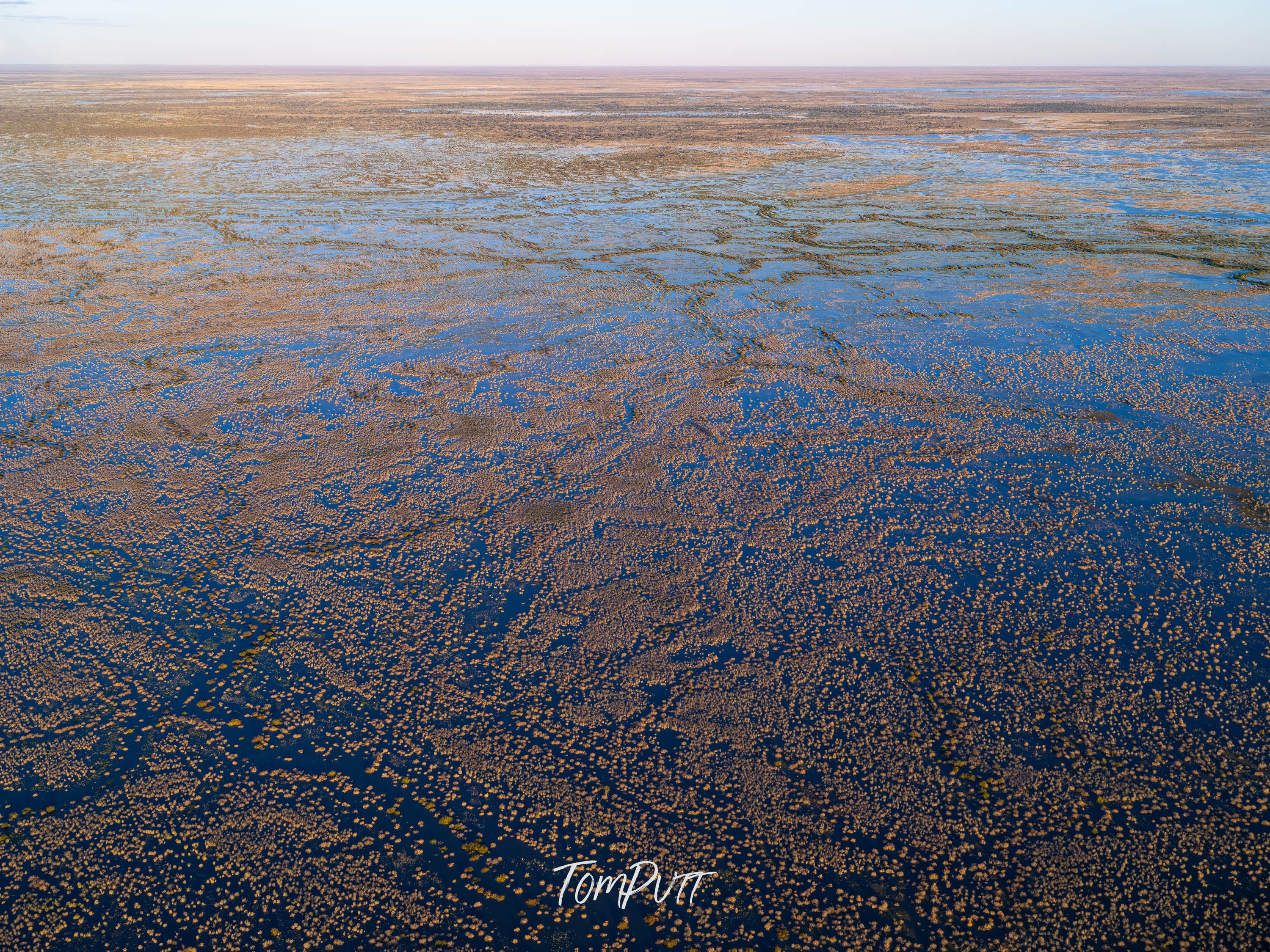Wet Desert Mosaic. Simpson Desert
