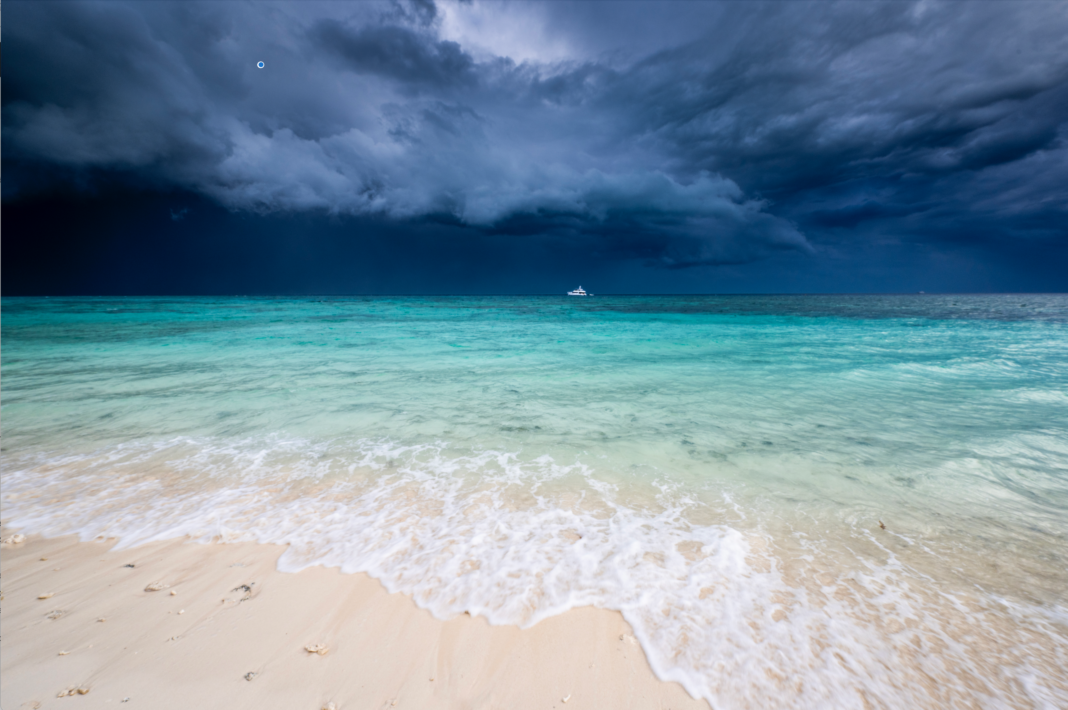 Co-existing, Heron Island QLD