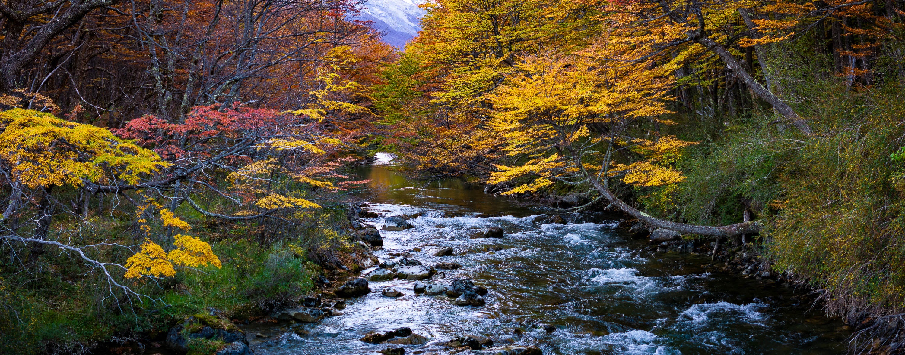 Patagonia Stream in autumn, Argentina