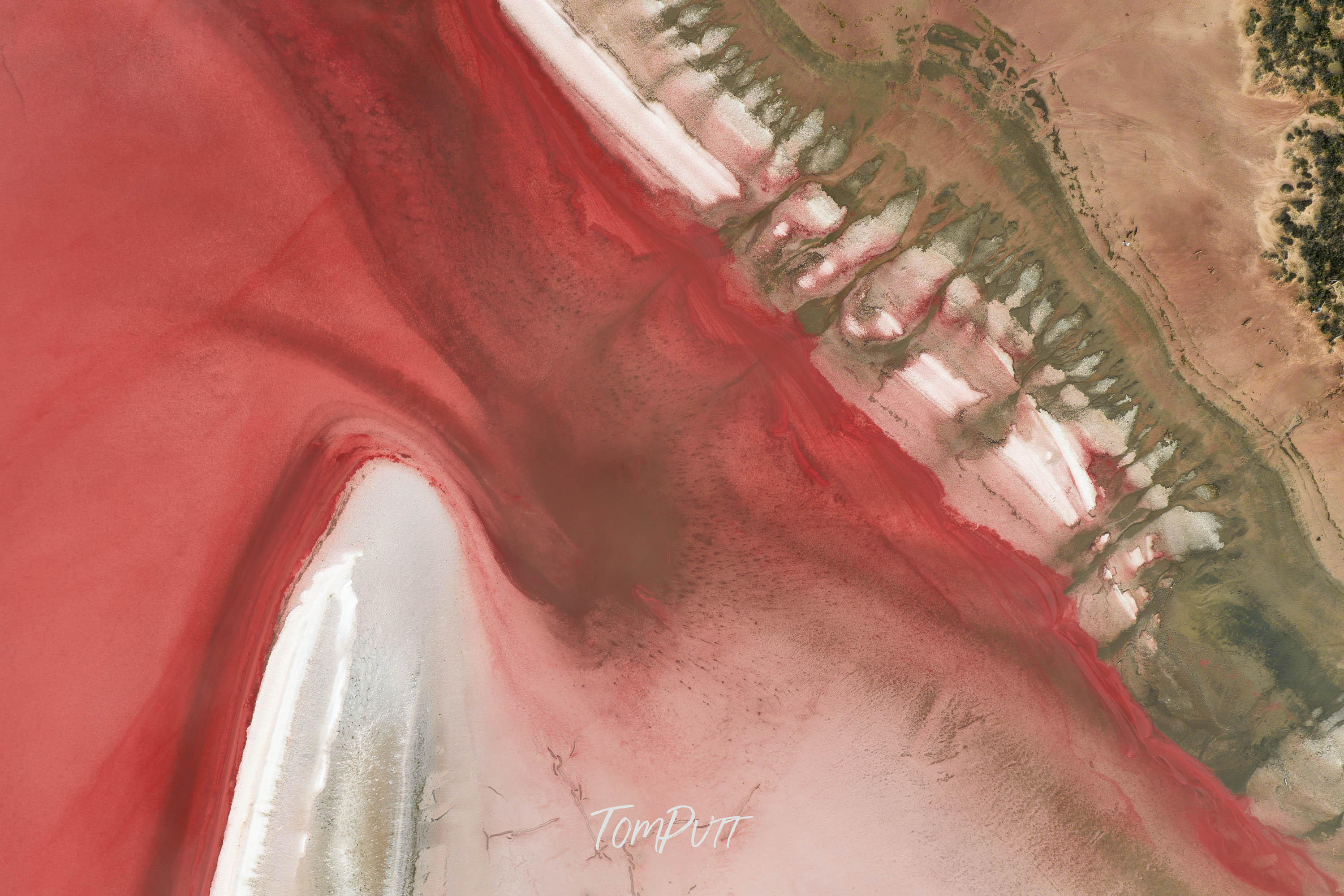Crimson Terrain