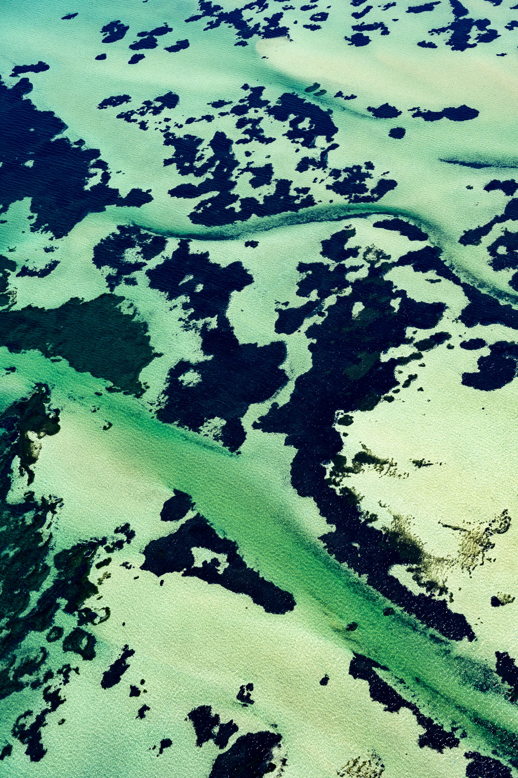Green Seas, Shark Bay, WA Aerial