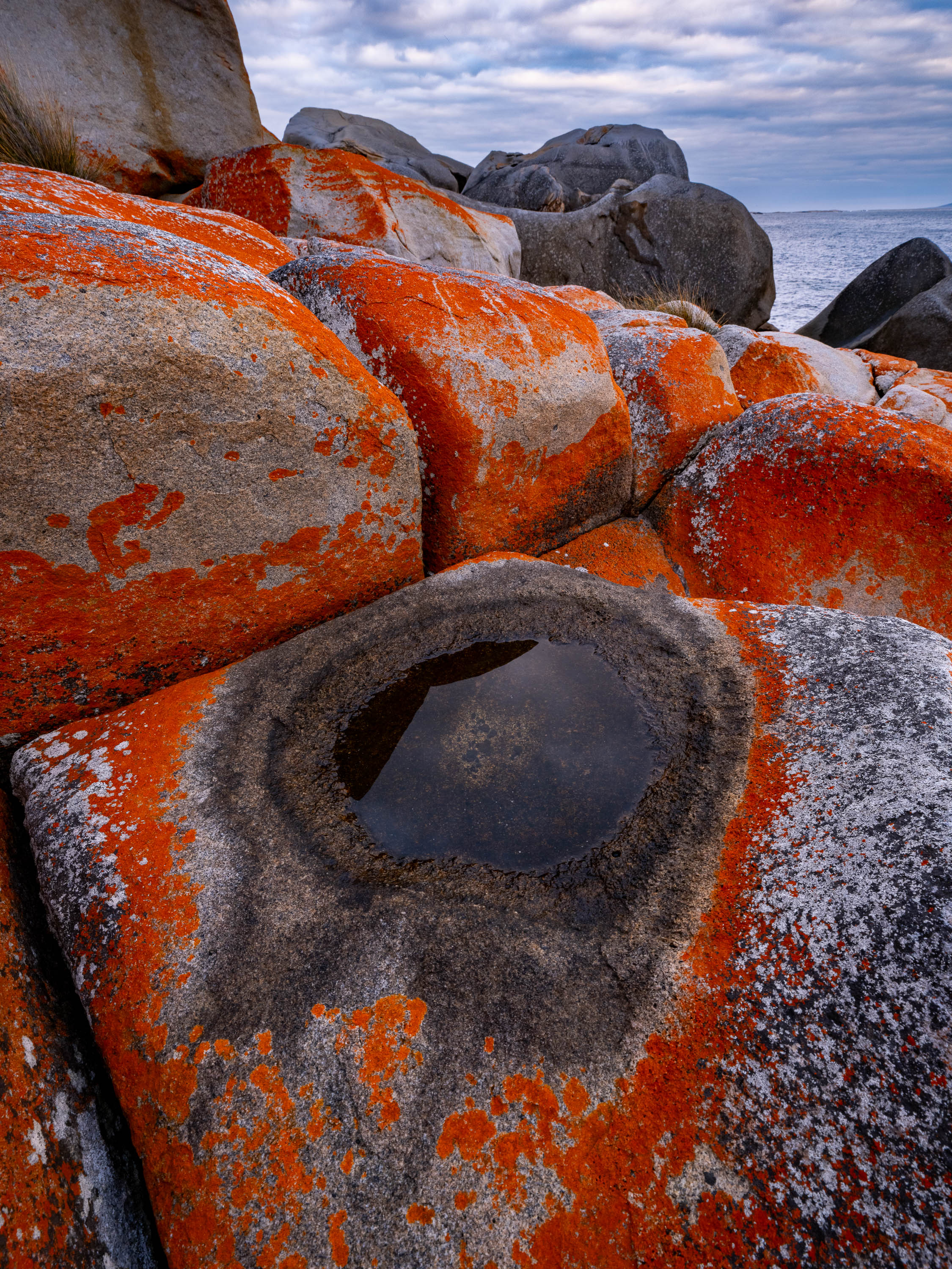 Red Lichen Rocks No.4, Flinders Island, Tasmania