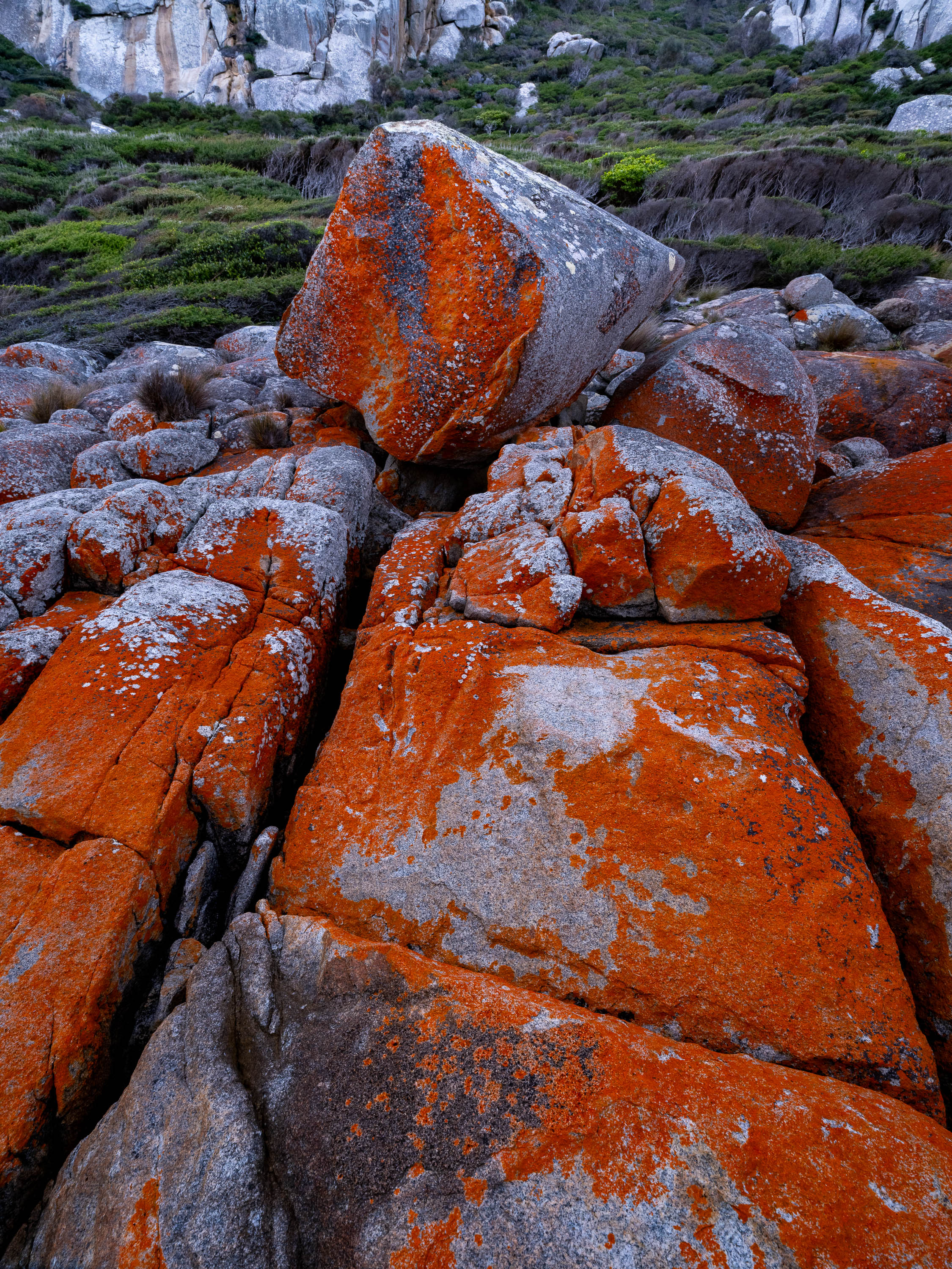 Red Lichen Rocks No.5, Flinders Island, Tasmania