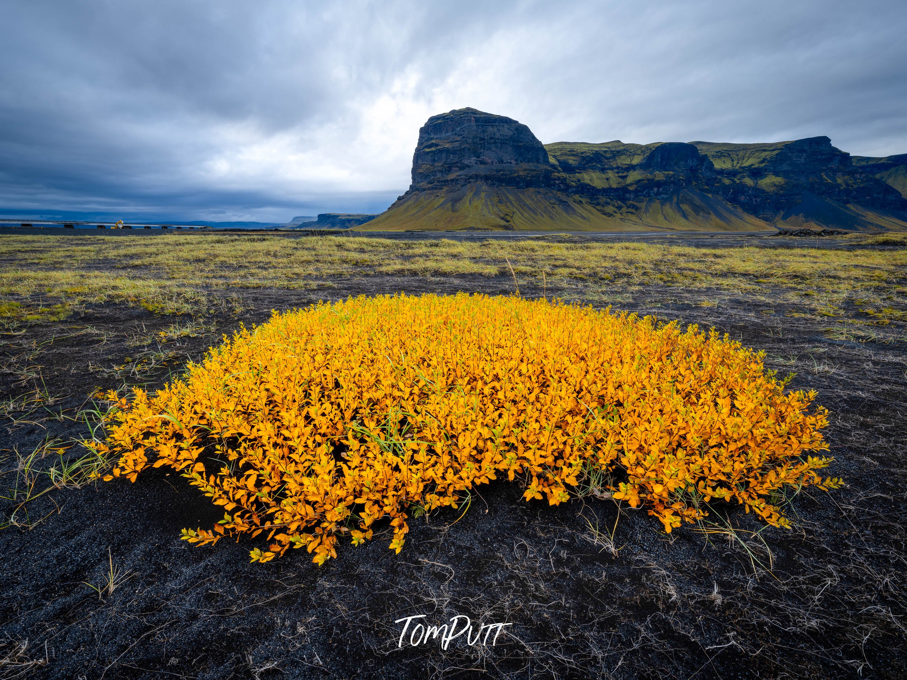 Golden Glow, Iceland