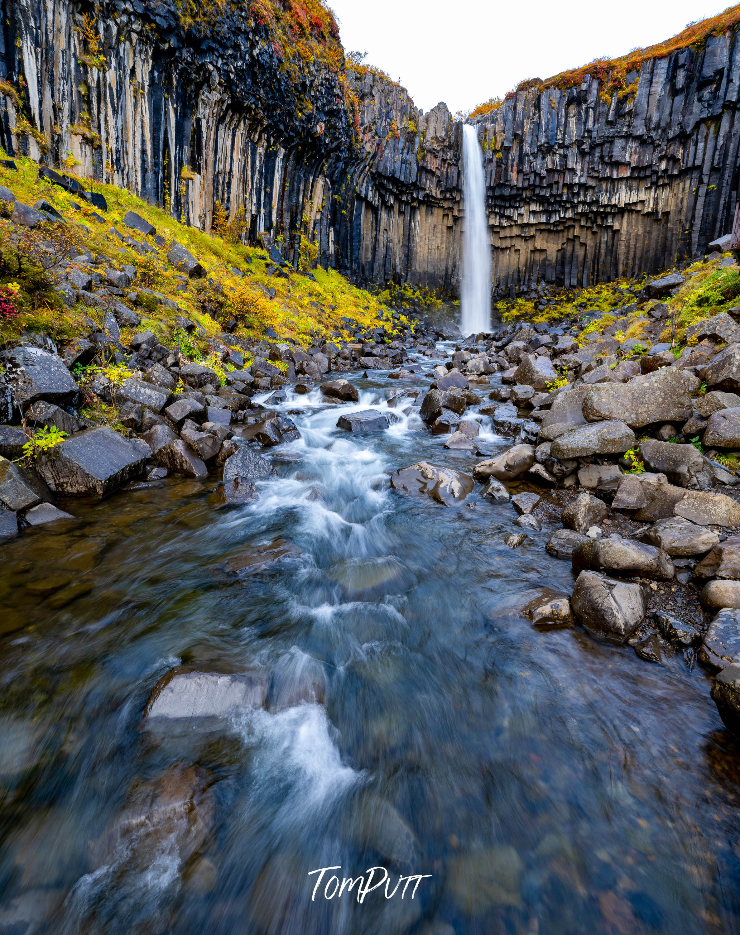 Waterfall Svartifoss, Iceland