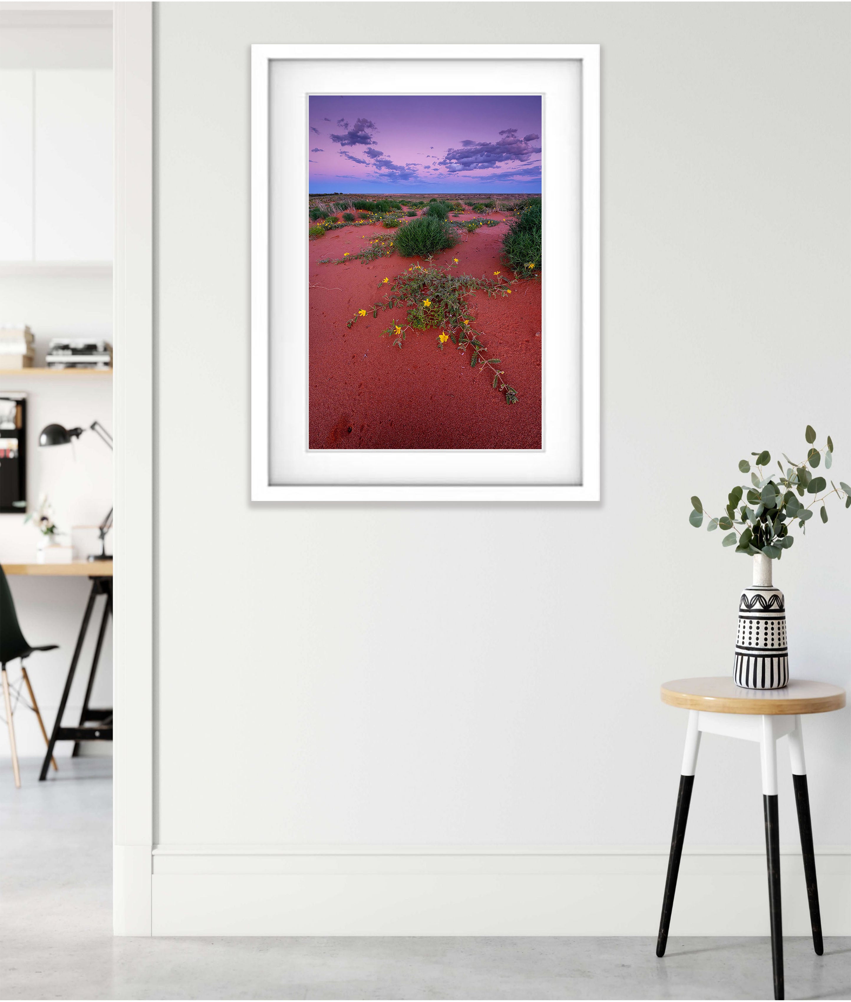Desert Blooms, William Creek, South Australia