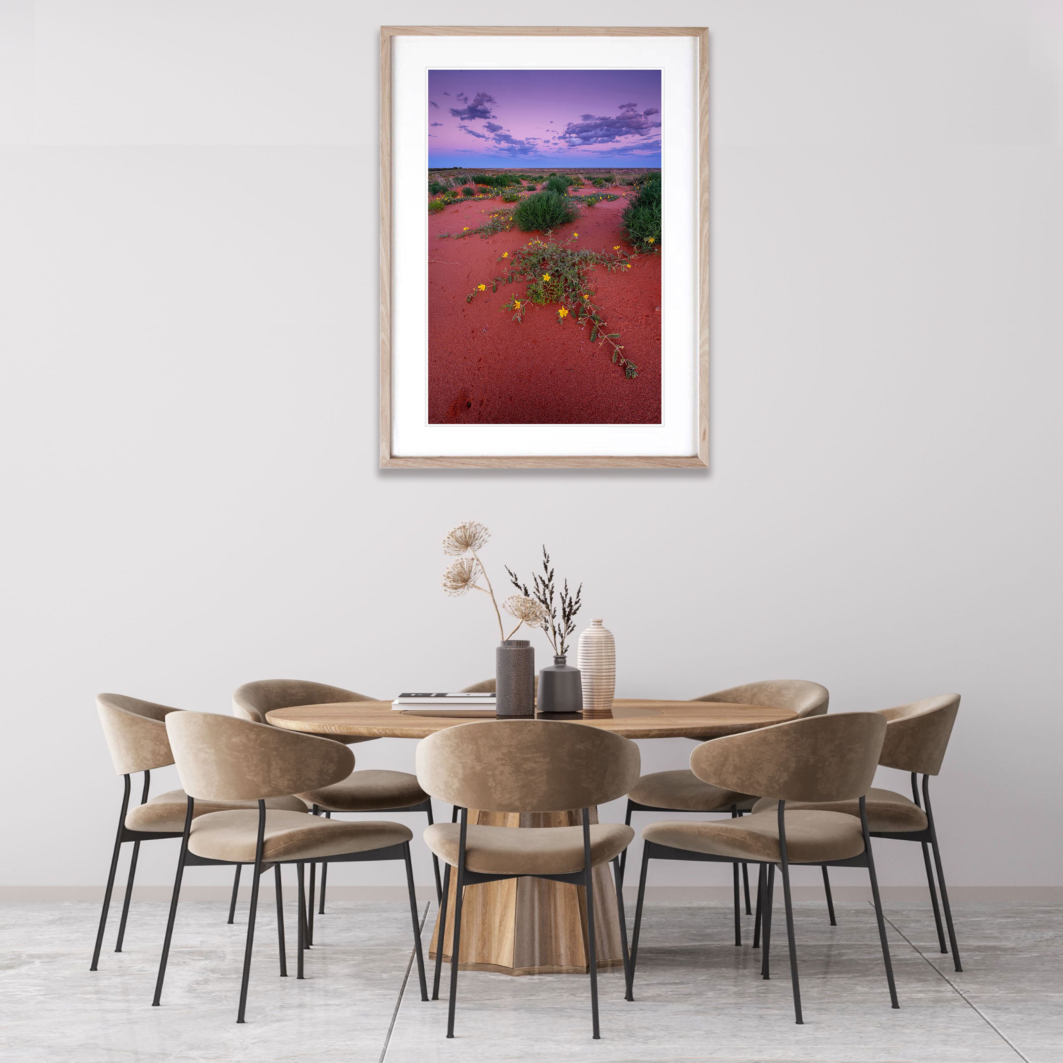 Desert Blooms, William Creek, South Australia
