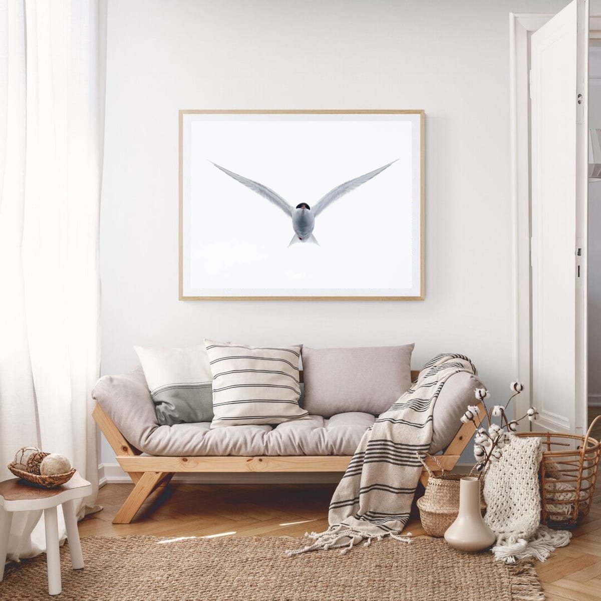 Antarctic Tern in flight, Antarctica