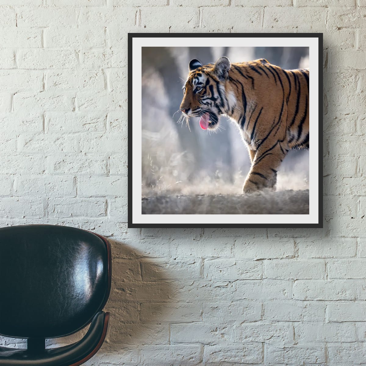 Majestic Stride, India