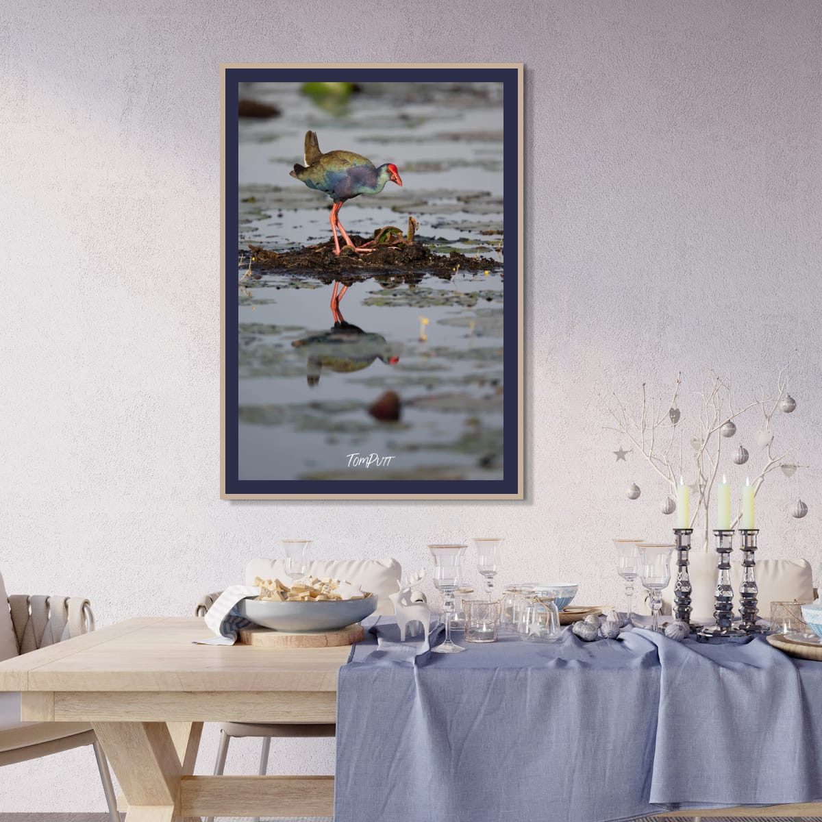 Swamp Hen Reflection