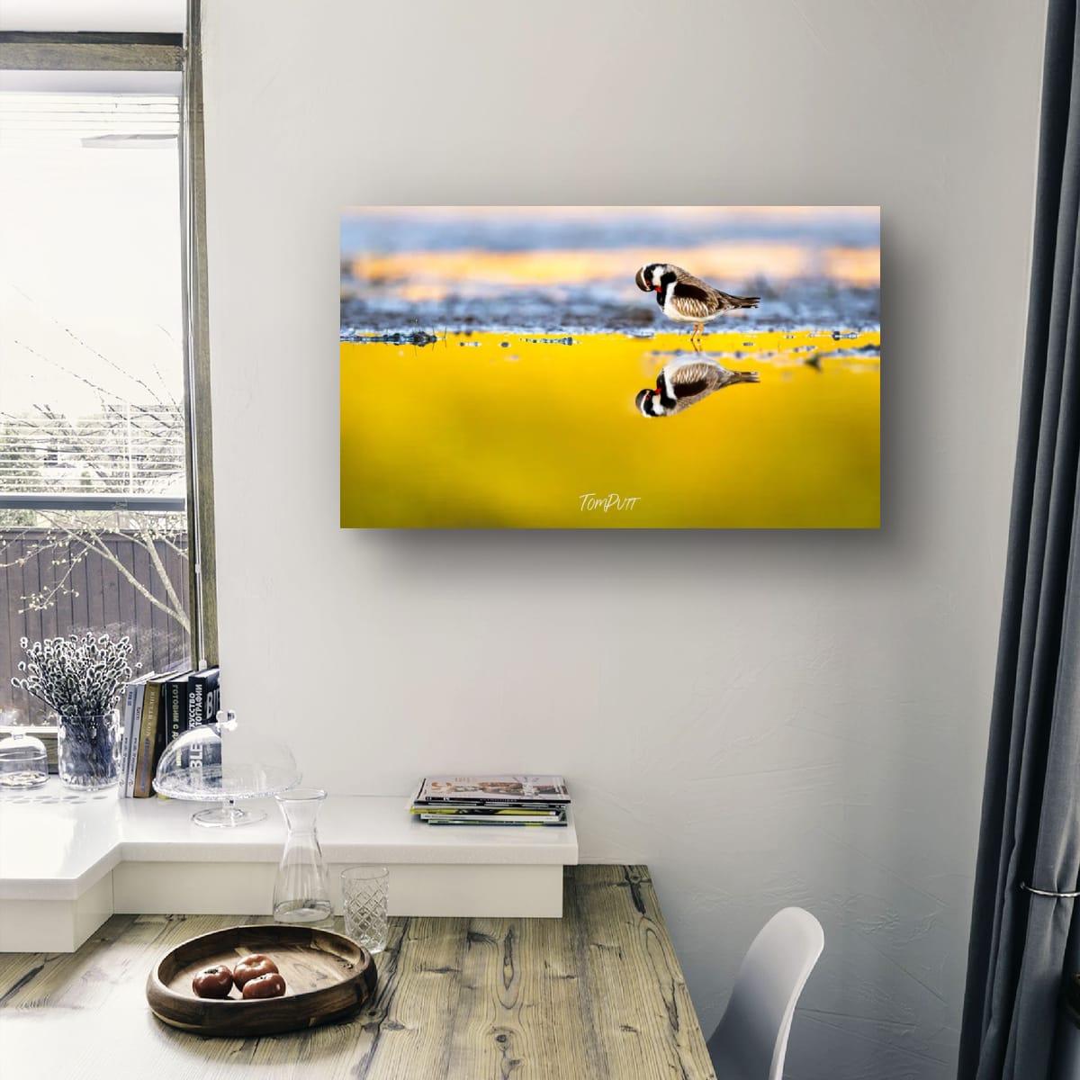 Golden Reflection. Black-Fronted Dotterel