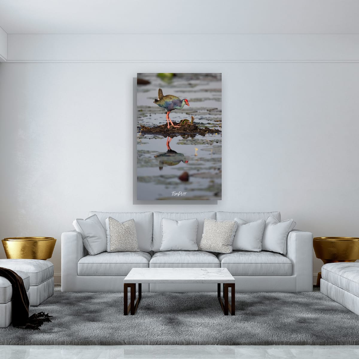 Swamp Hen Reflection