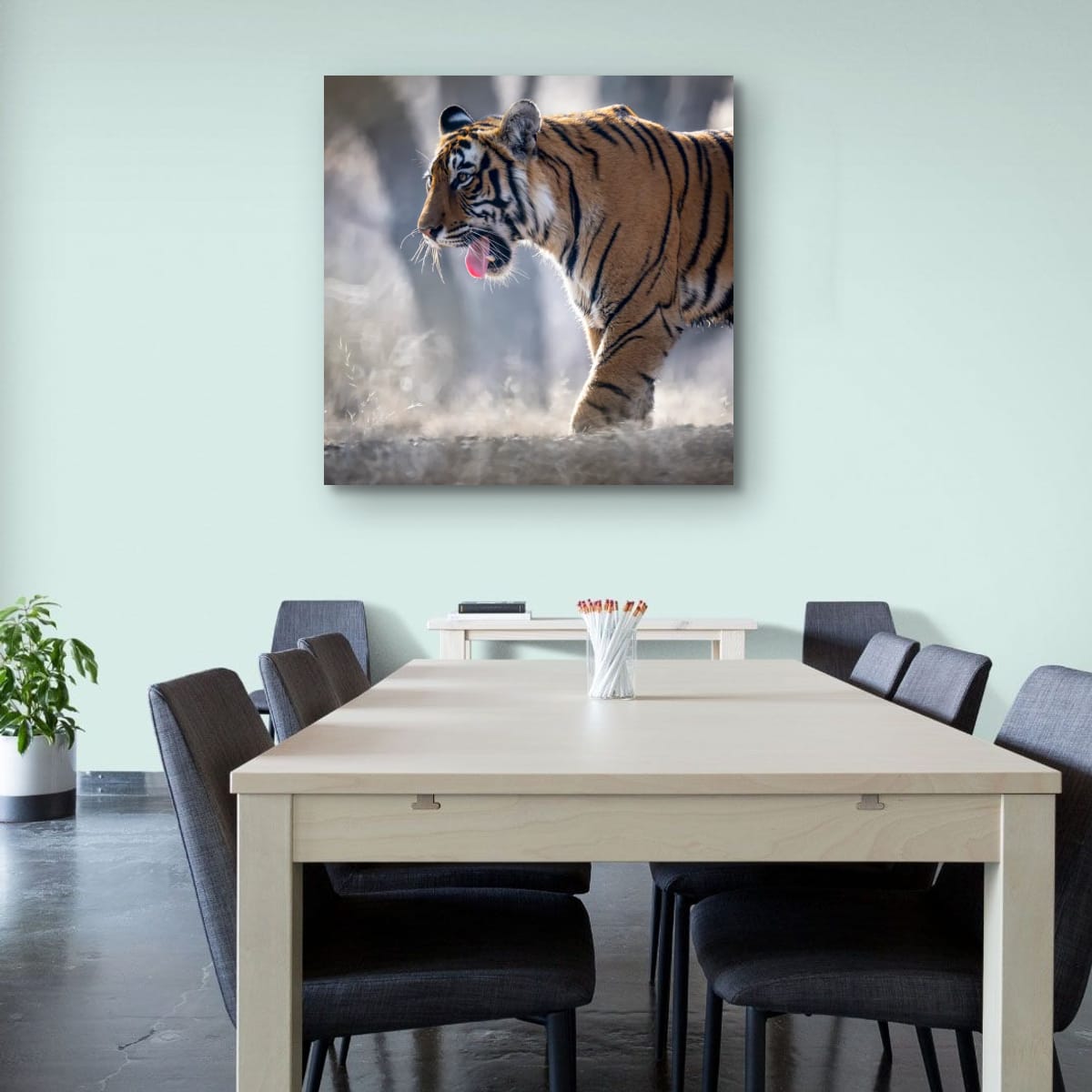 Majestic Stride, India